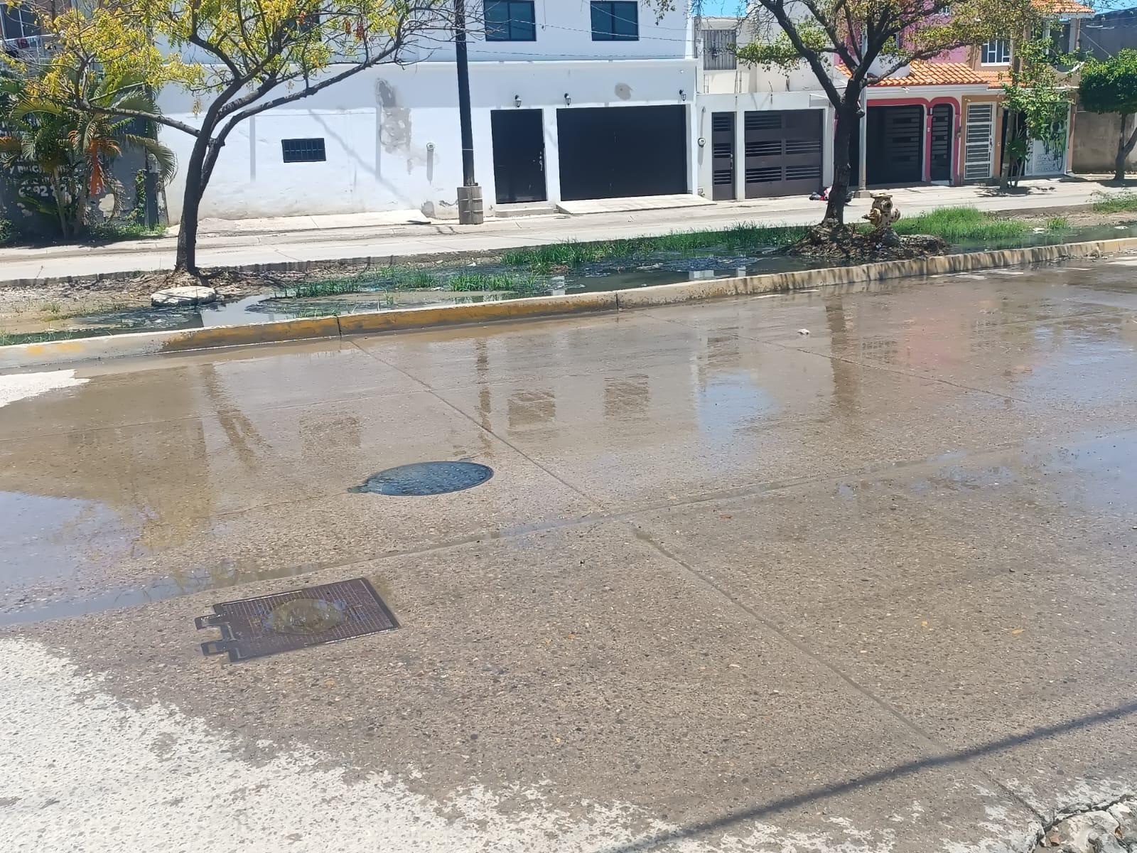 $!Habitantes de Valle Dorado, en Mazatlán, denuncian múltiples fugas de aguas negras