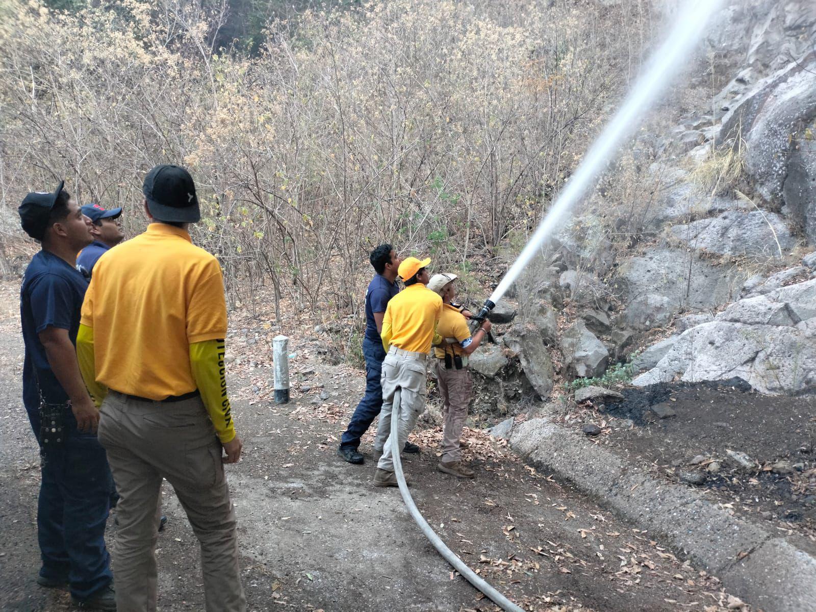 $!Una catástrofe, incendios en la sierra de Concordia, advierten