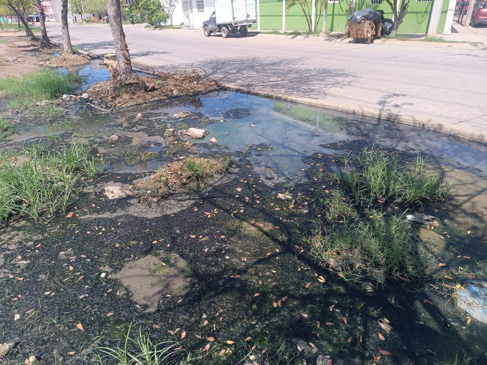 $!Habitantes de Valle Dorado, en Mazatlán, denuncian múltiples fugas de aguas negras