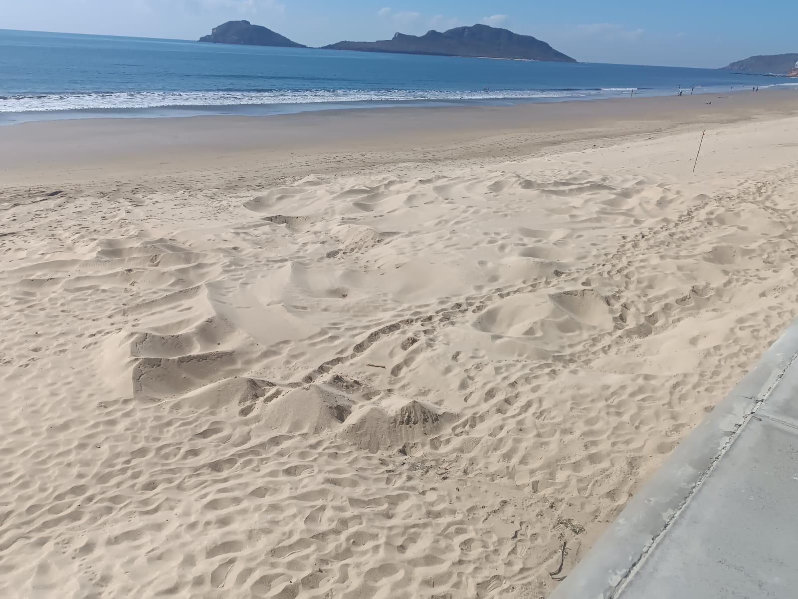 $!Toman sepultura de ballena como nuevo atractivo de Mazatlán