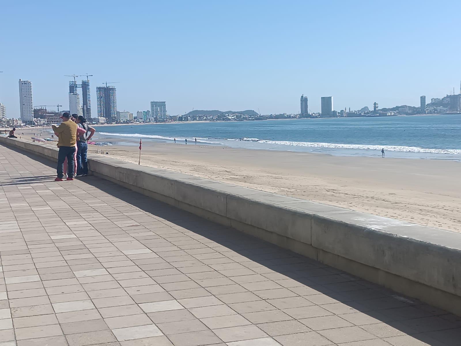 $!Toman sepultura de ballena como nuevo atractivo de Mazatlán