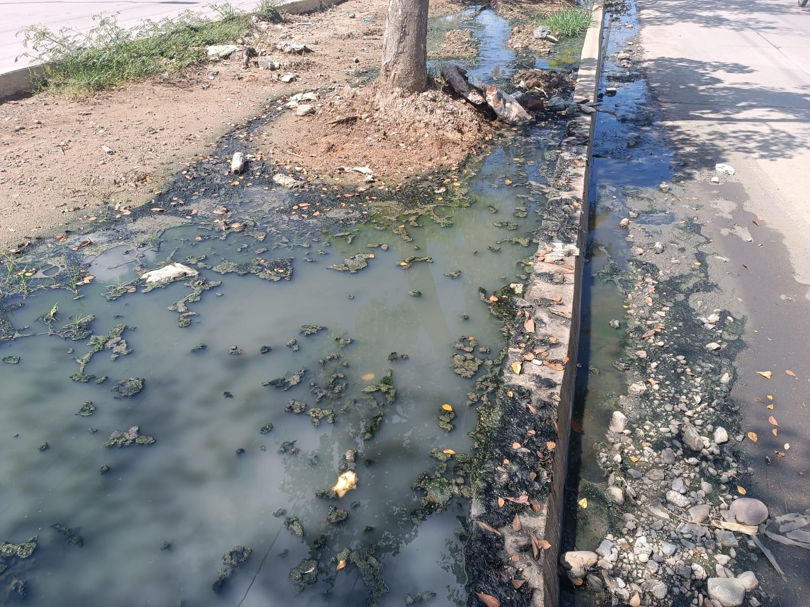 $!Habitantes de Valle Dorado, en Mazatlán, denuncian múltiples fugas de aguas negras