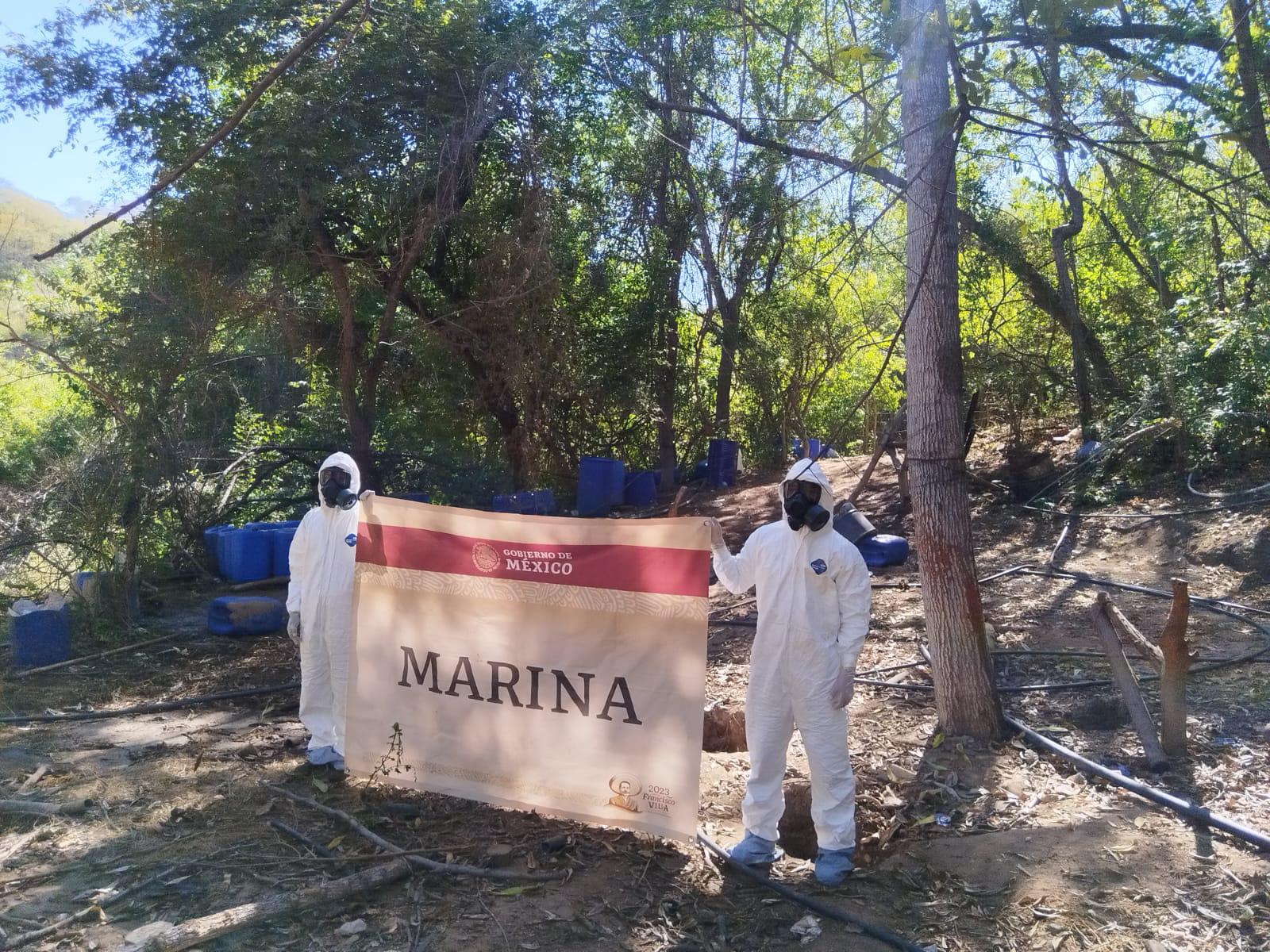 $!Asegura Marina precursores químicos en las inmediaciones de La Guamuchilera, Bacata y Tecomate, en Culiacán