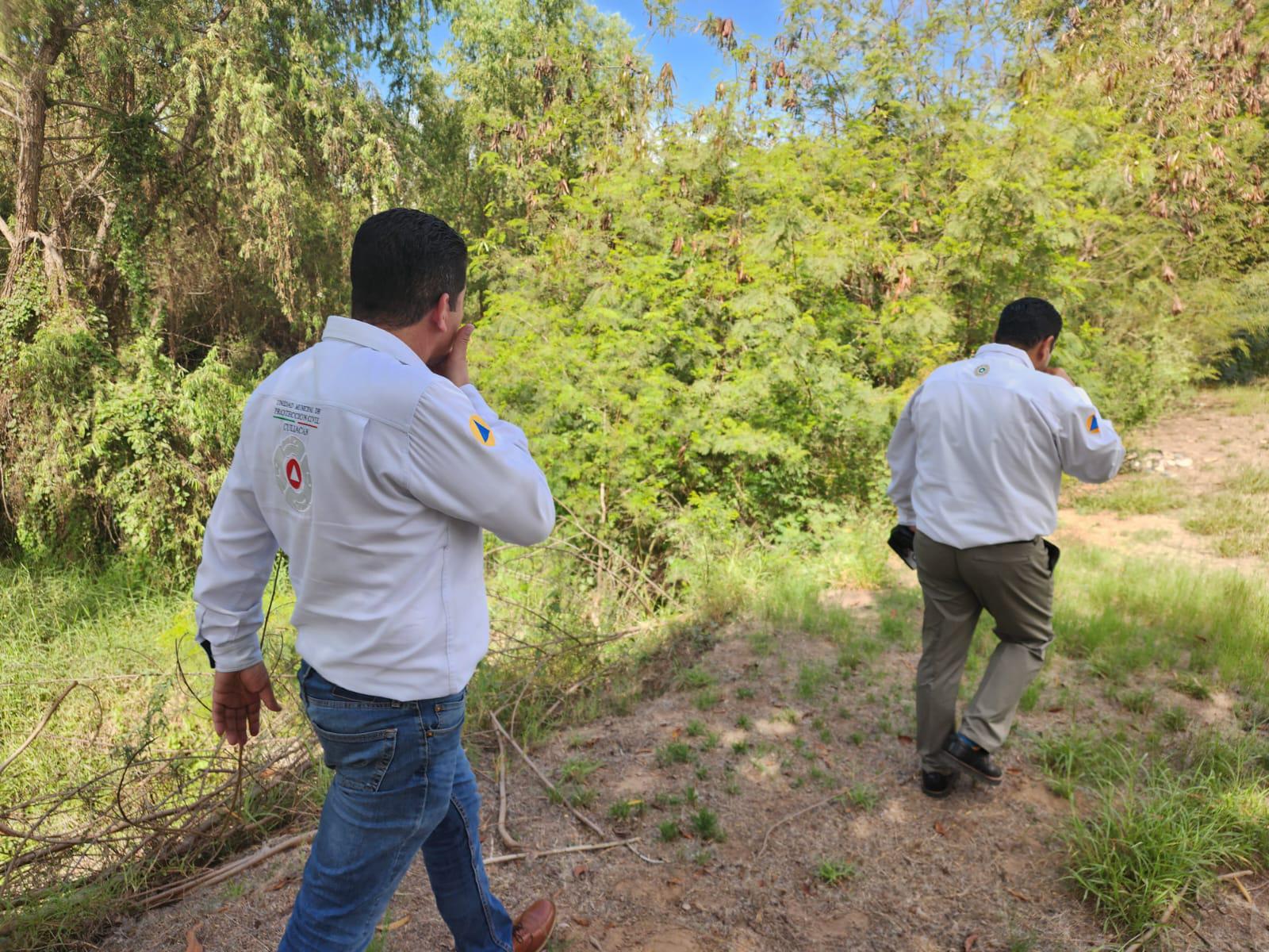 $!Tome precauciones ante avistamientos de cocodrilos en las Riberas: PC