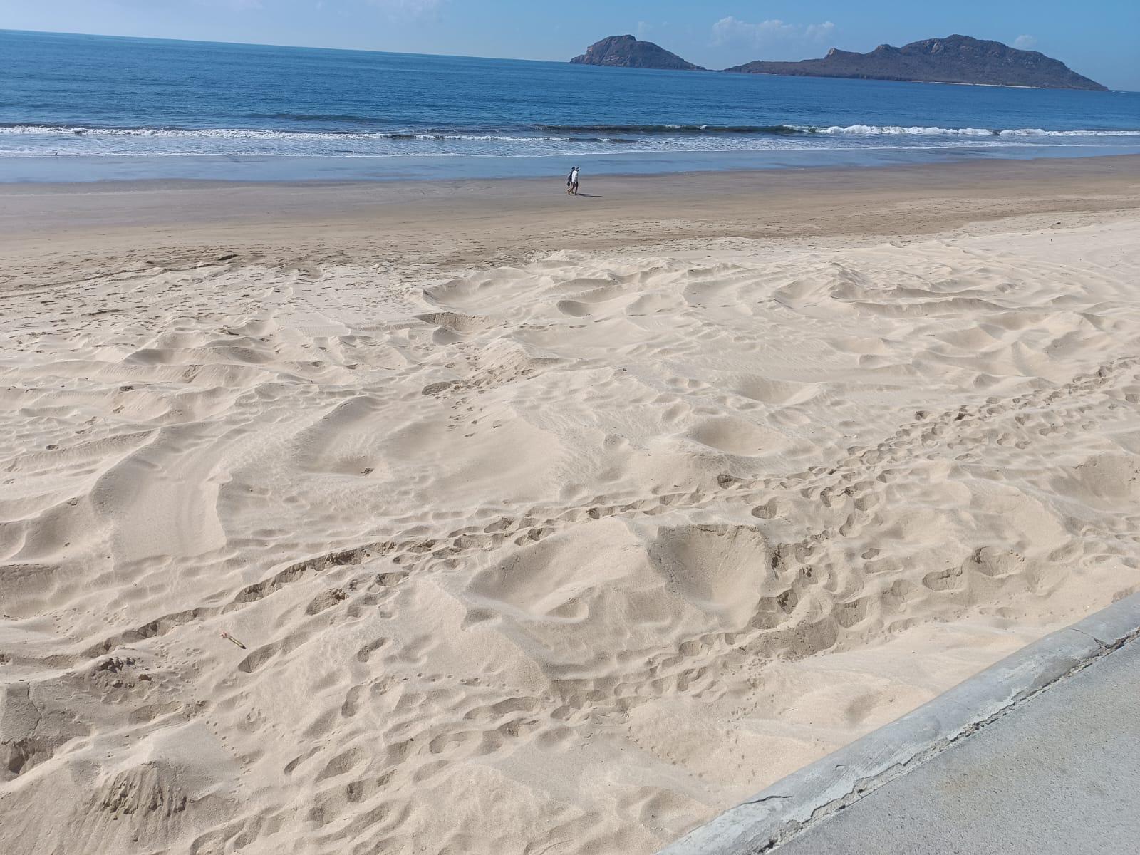 $!Toman sepultura de ballena como nuevo atractivo de Mazatlán