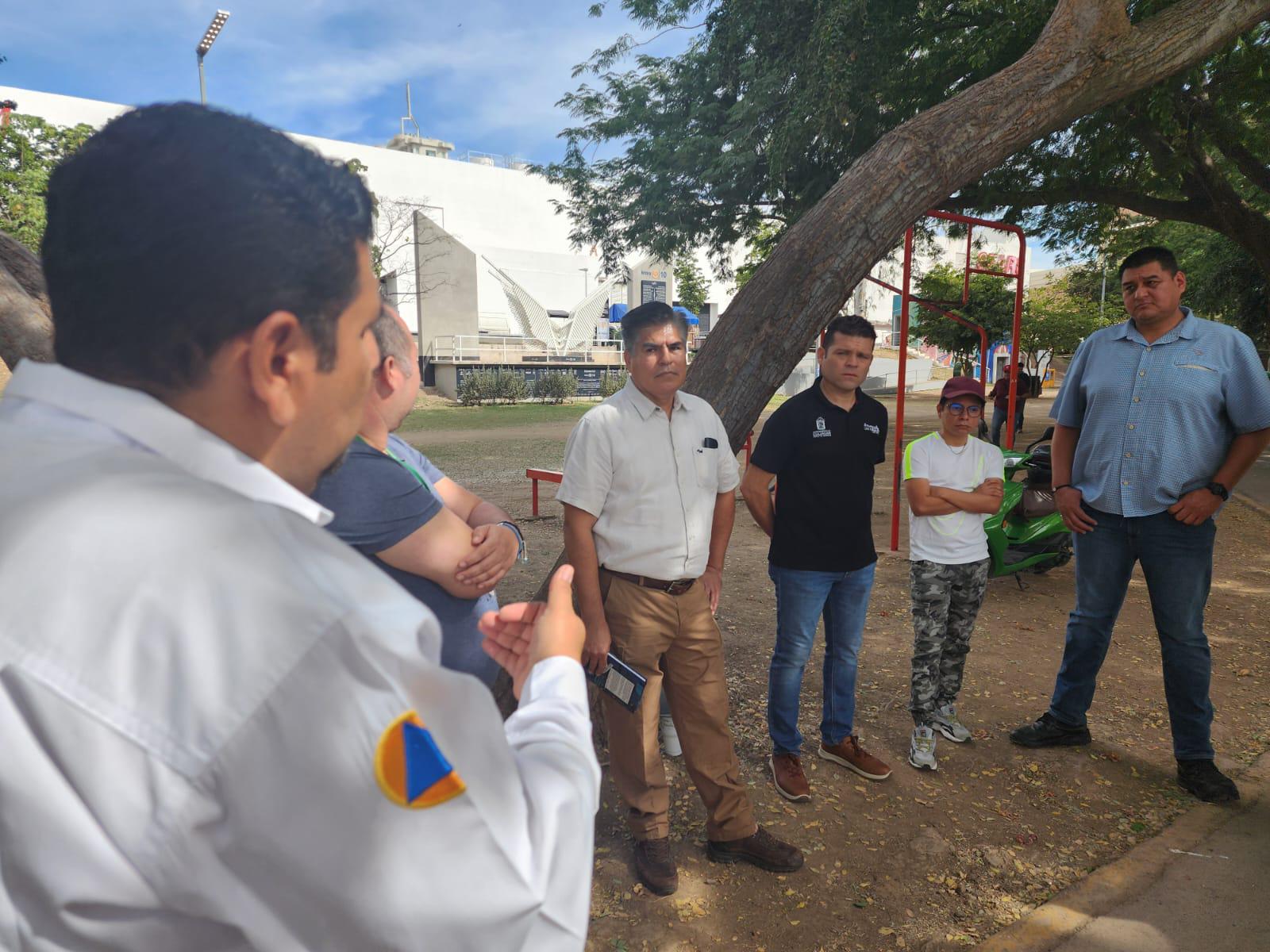 $!Tome precauciones ante avistamientos de cocodrilos en las Riberas: PC
