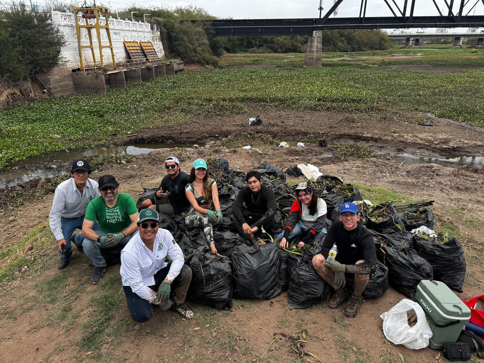 $!Proponen programa para aprovechar lirio acuático de río Humaya en Culiacán y convertirlo en abono
