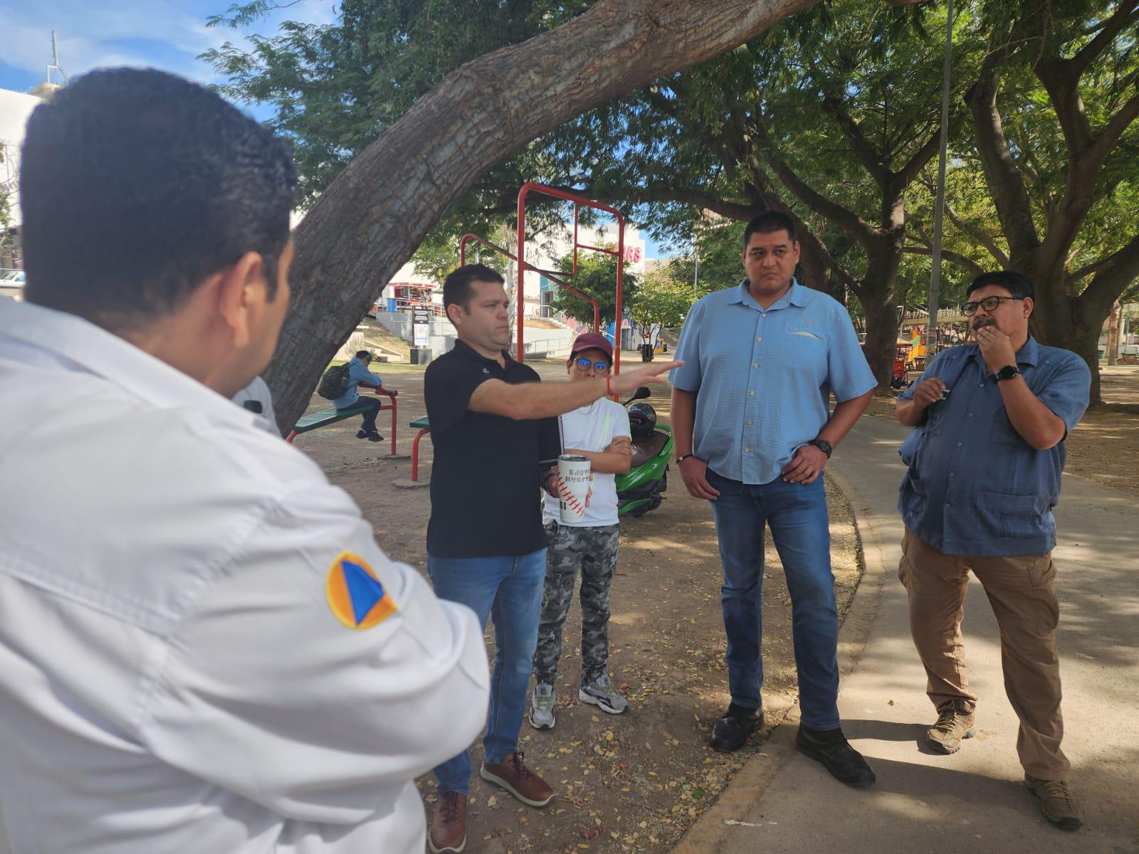 $!Tome precauciones ante avistamientos de cocodrilos en las Riberas: PC