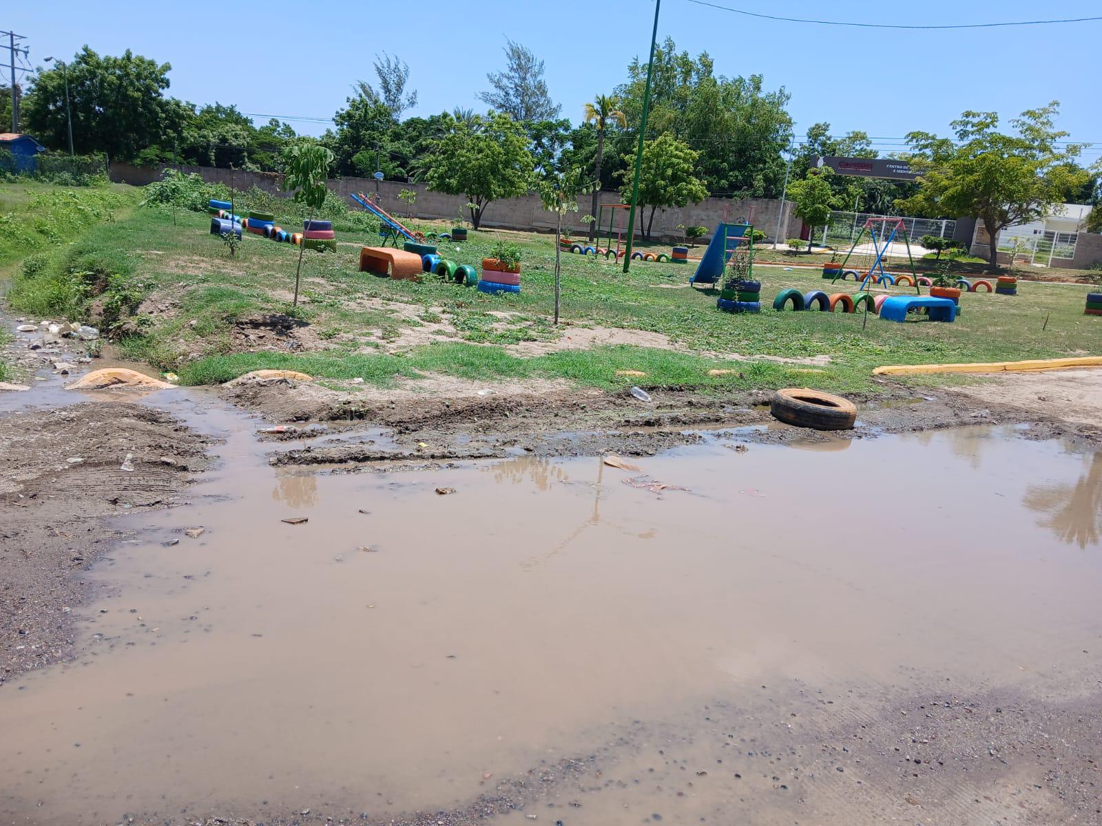 $!Denuncian vecinos derrame de drenaje y mosquitos en la Genaro Estrada, en Mazatlán