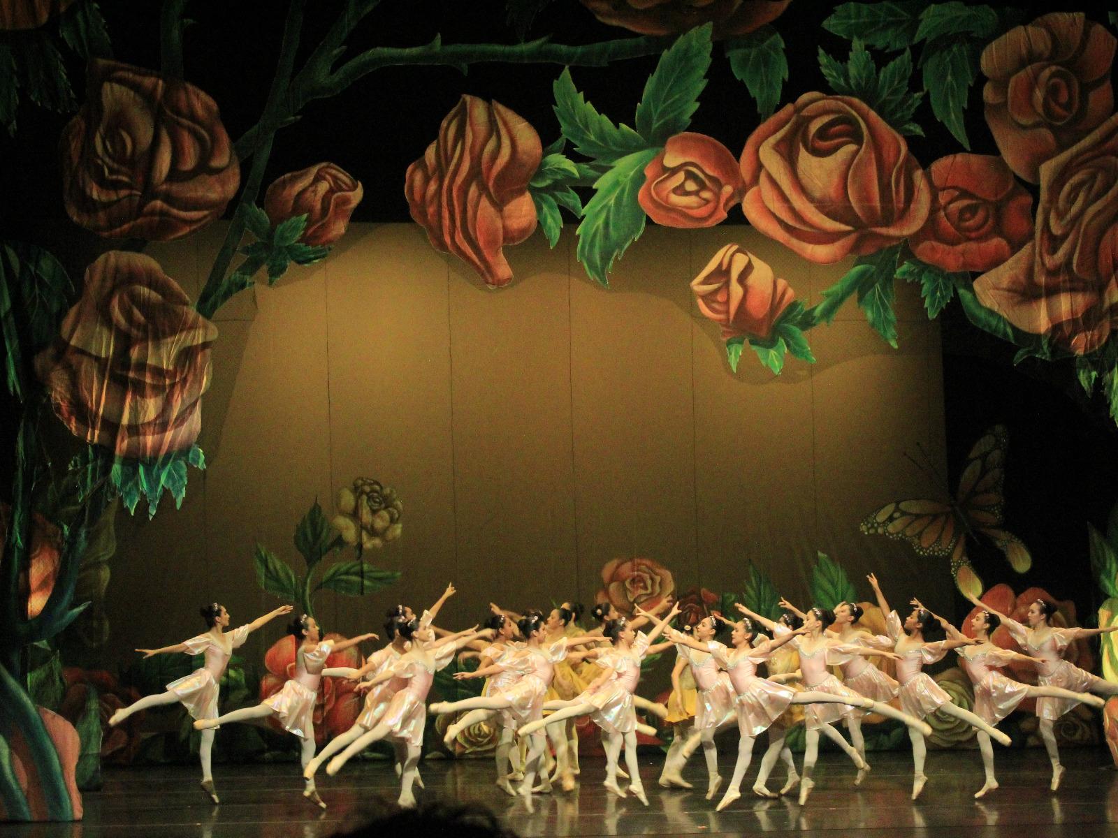 $!El objetivo del Programa Integral de Ballet es desarrollar en niños y jóvenes las bases profesionales del ballet.