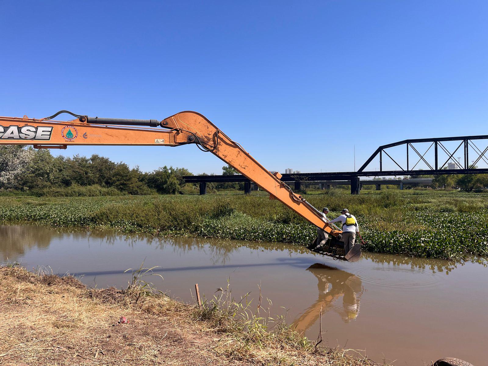 $!A diario, el Ayuntamiento de Culiacán saca 200 góndolas de lirio acuático de los ríos