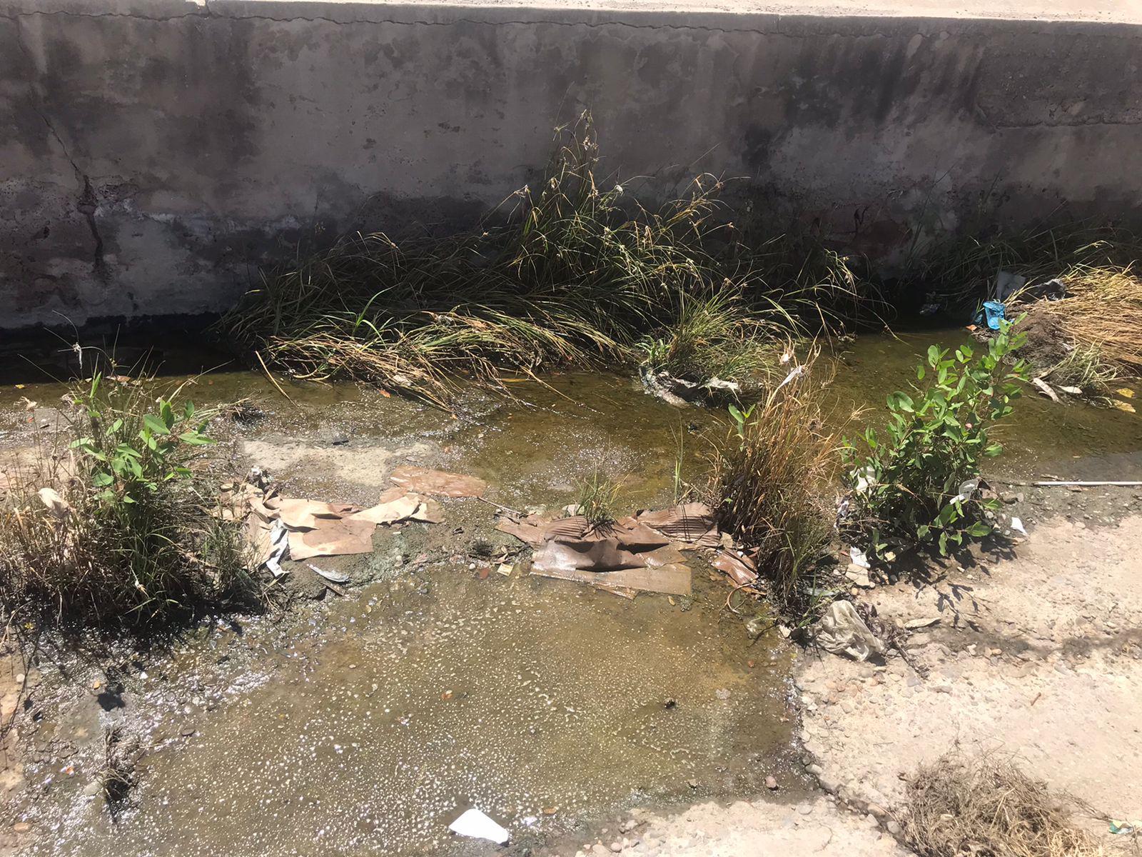 $!Con la temporada de lluvias en marcha, canales y arroyos en Mazatlán están llenos de basura
