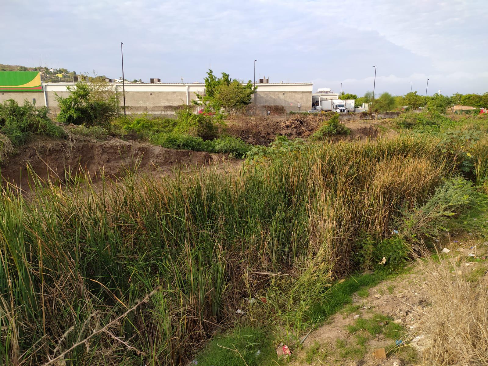 $!Con la temporada de lluvias en marcha, canales y arroyos en Mazatlán están llenos de basura