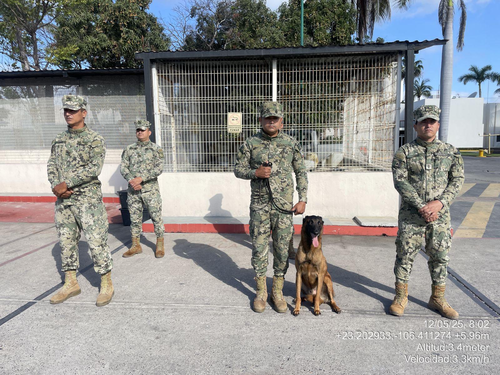 $!Por retiro de elemento canino, admiten que sí hallaron explosivos previos al Carnaval