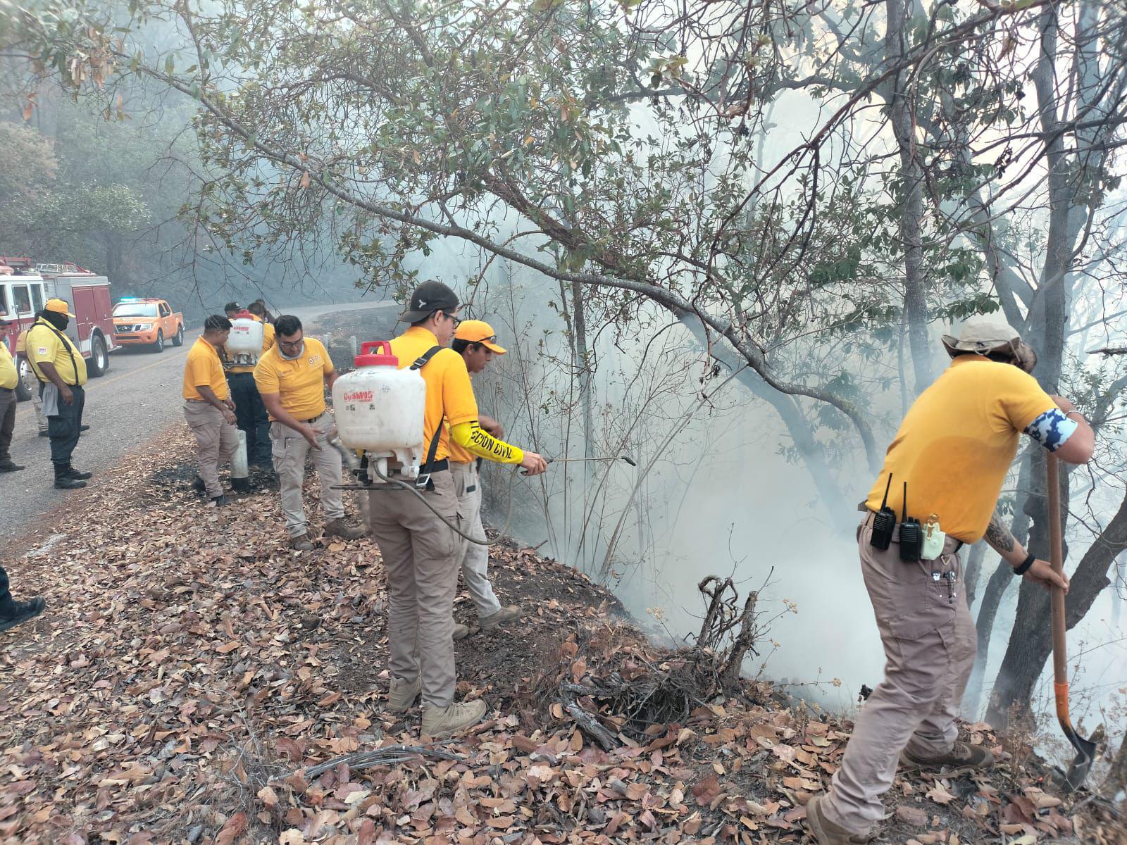 $!Una catástrofe, incendios en la sierra de Concordia, advierten