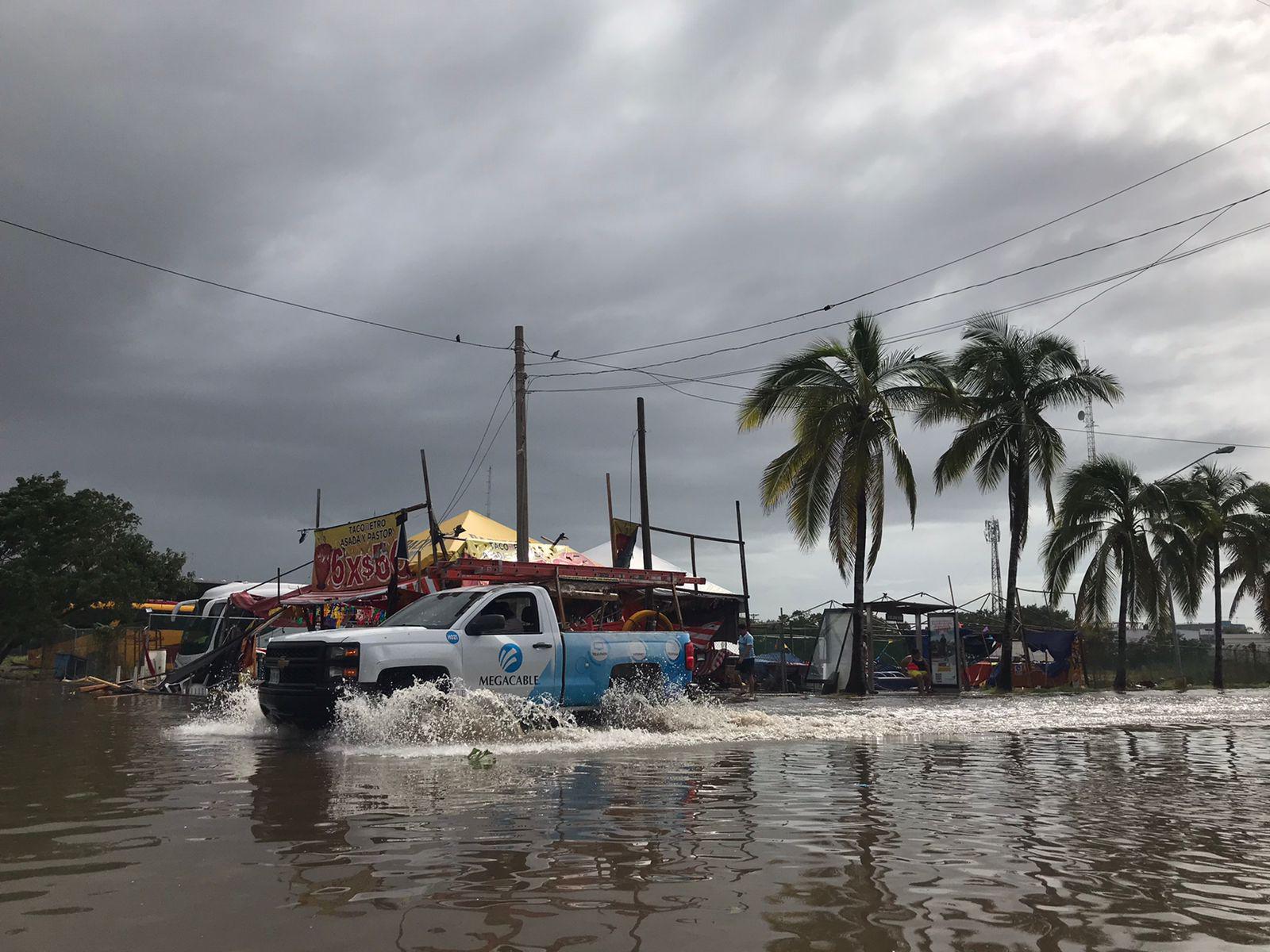 $!Árboles y palmeras caen en Mazatlán por Huracán Pamela; los remueven de las vialidades