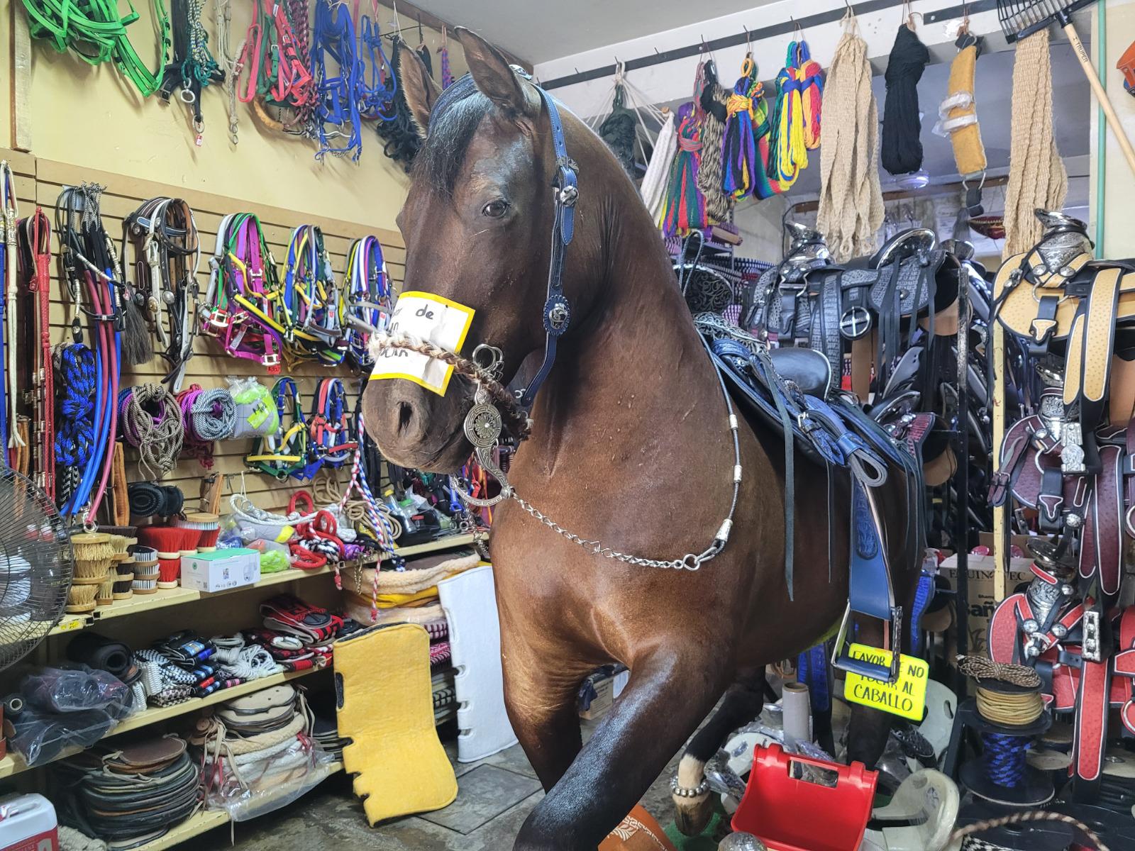 $!Vende accesorios para caballo en el mercadito de Culiacán; el negocio resiste pese a la violencia