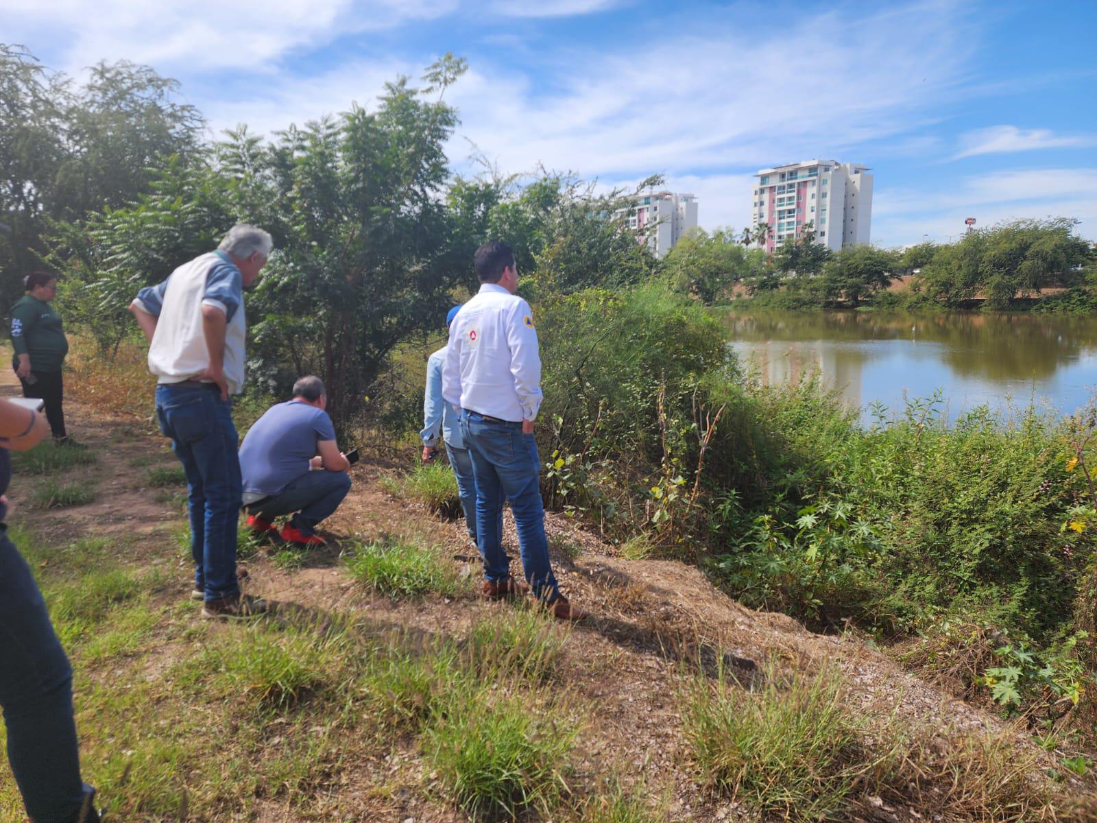 $!Tome precauciones ante avistamientos de cocodrilos en las Riberas: PC