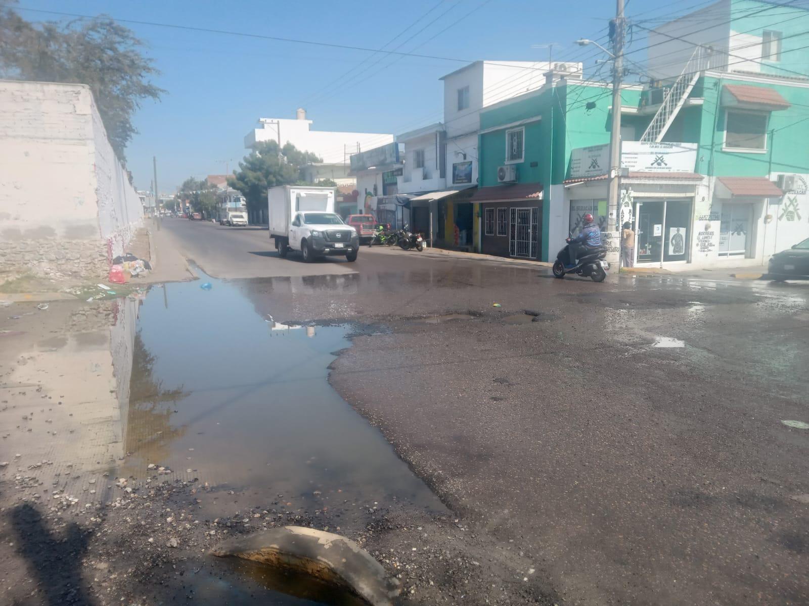 $!Piden tapar dos baches en calle Enrique Pérez Arce, en la colonia Benito Juárez