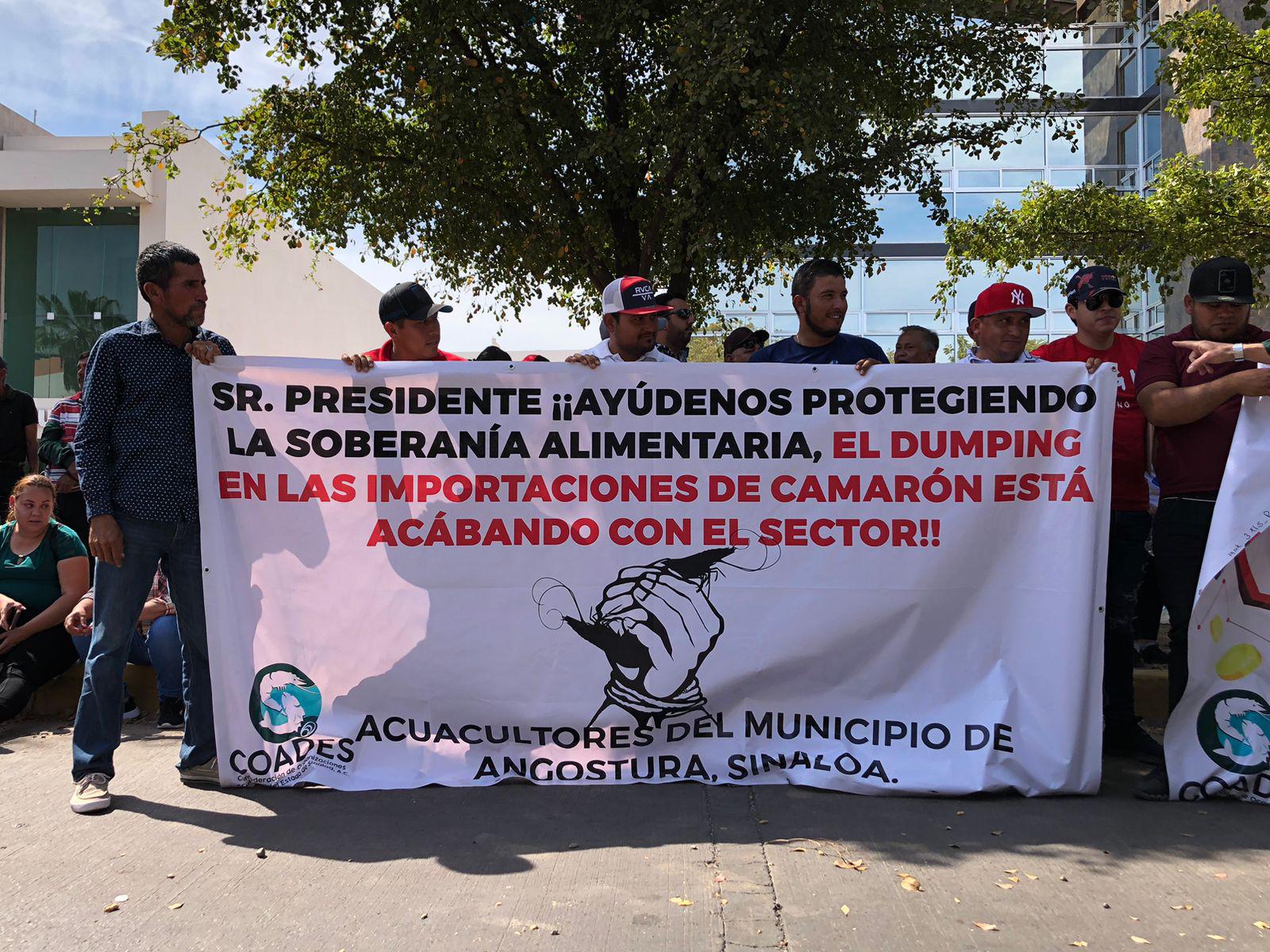 $!Productores de camarón piden a AMLO cerrar frontera a importaciones