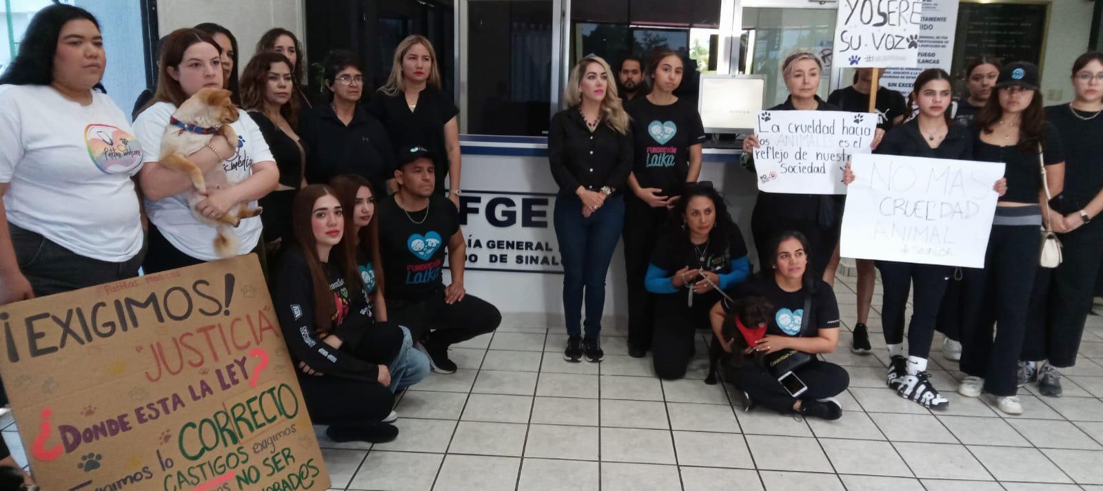 $!Defensores de animales en Culiacán exigen justicia por Bobby y piden endurecer penas por maltrato en Sinaloa