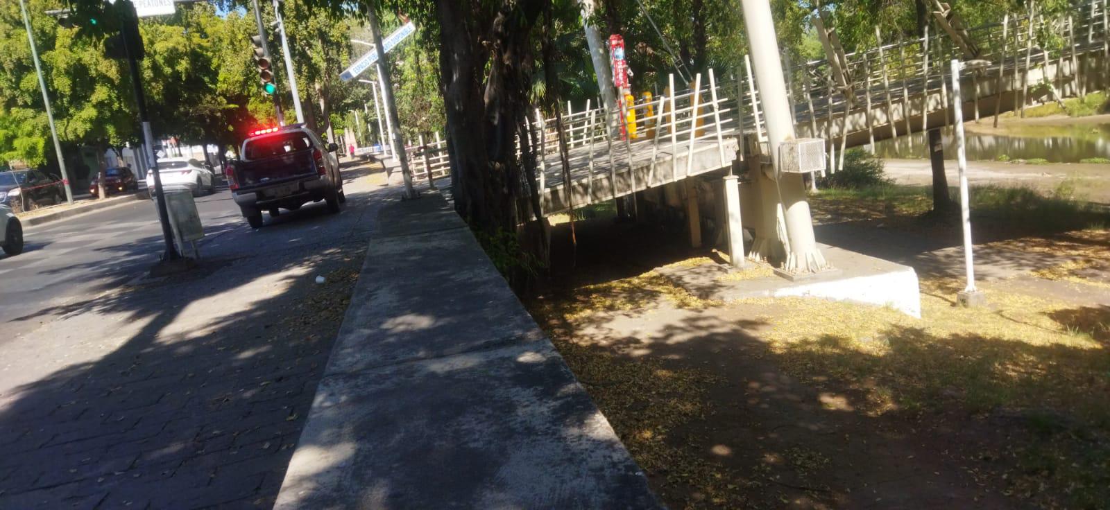 $!Protección Civil de Culiacán atendió caso de panal de abejas en el Parque Las Riberas