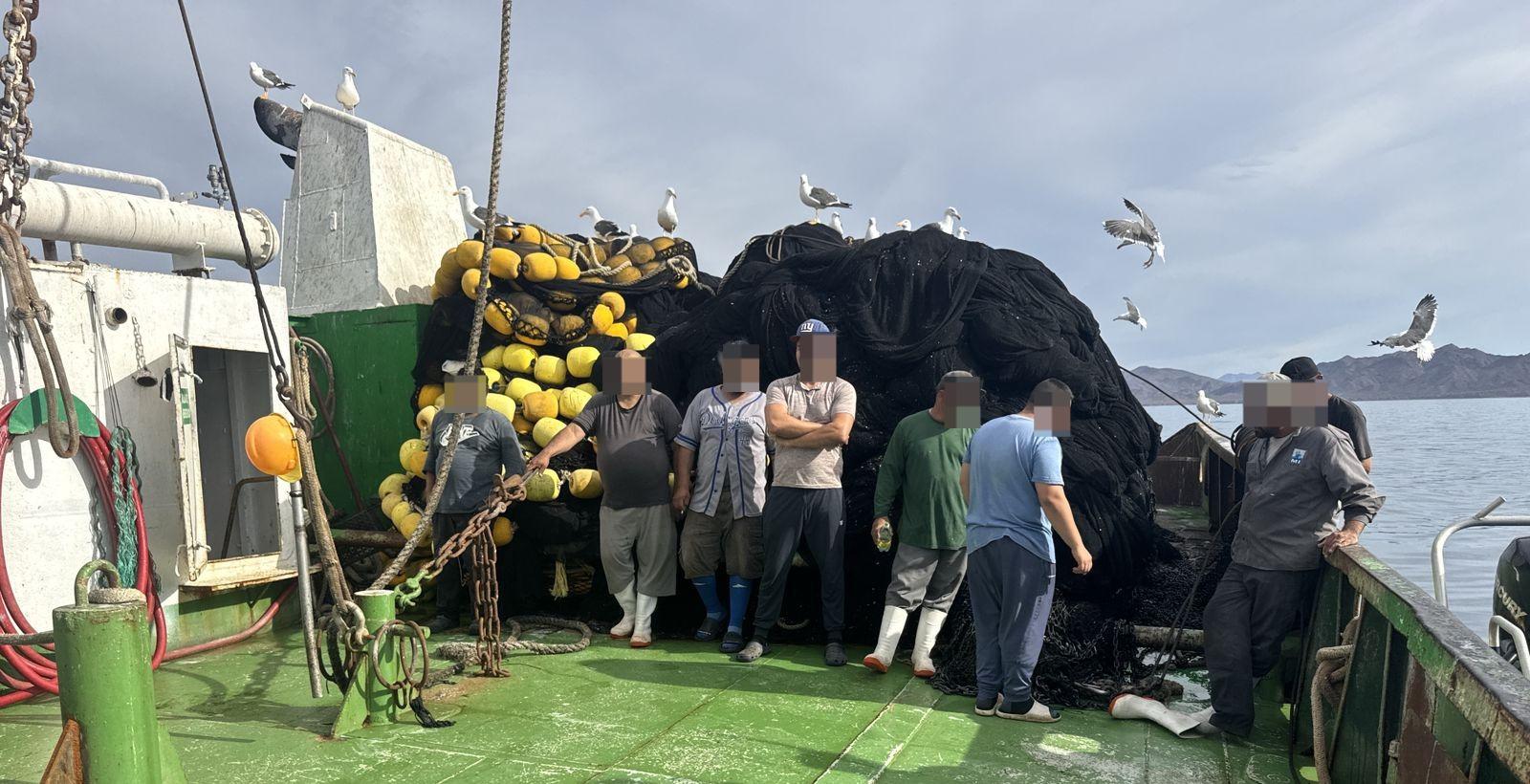 $!Asegura Marina en un buque 62 ejemplares de tiburón y 4 de mantarraya en veda