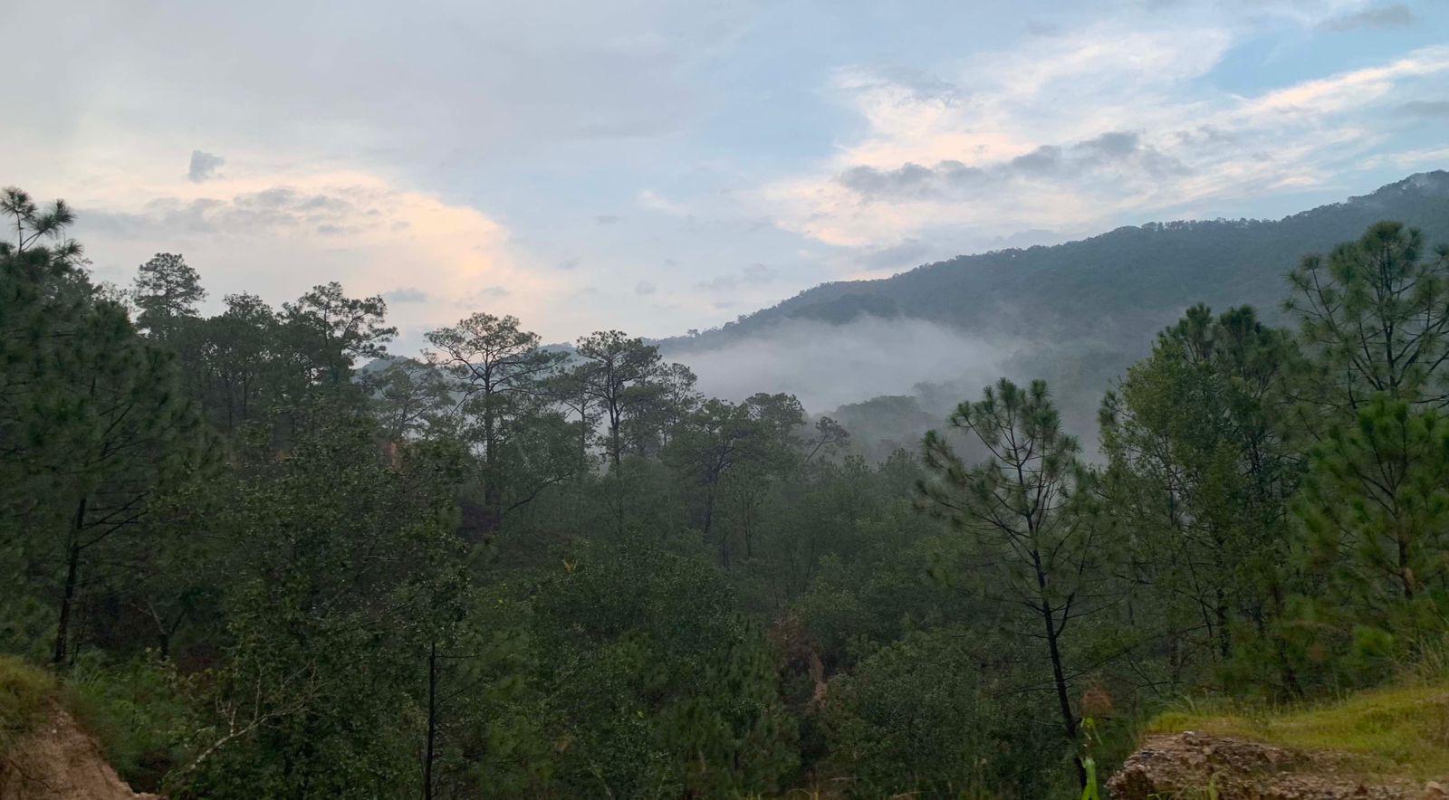 $!Un aspecto de la Sierra de Manantlán.