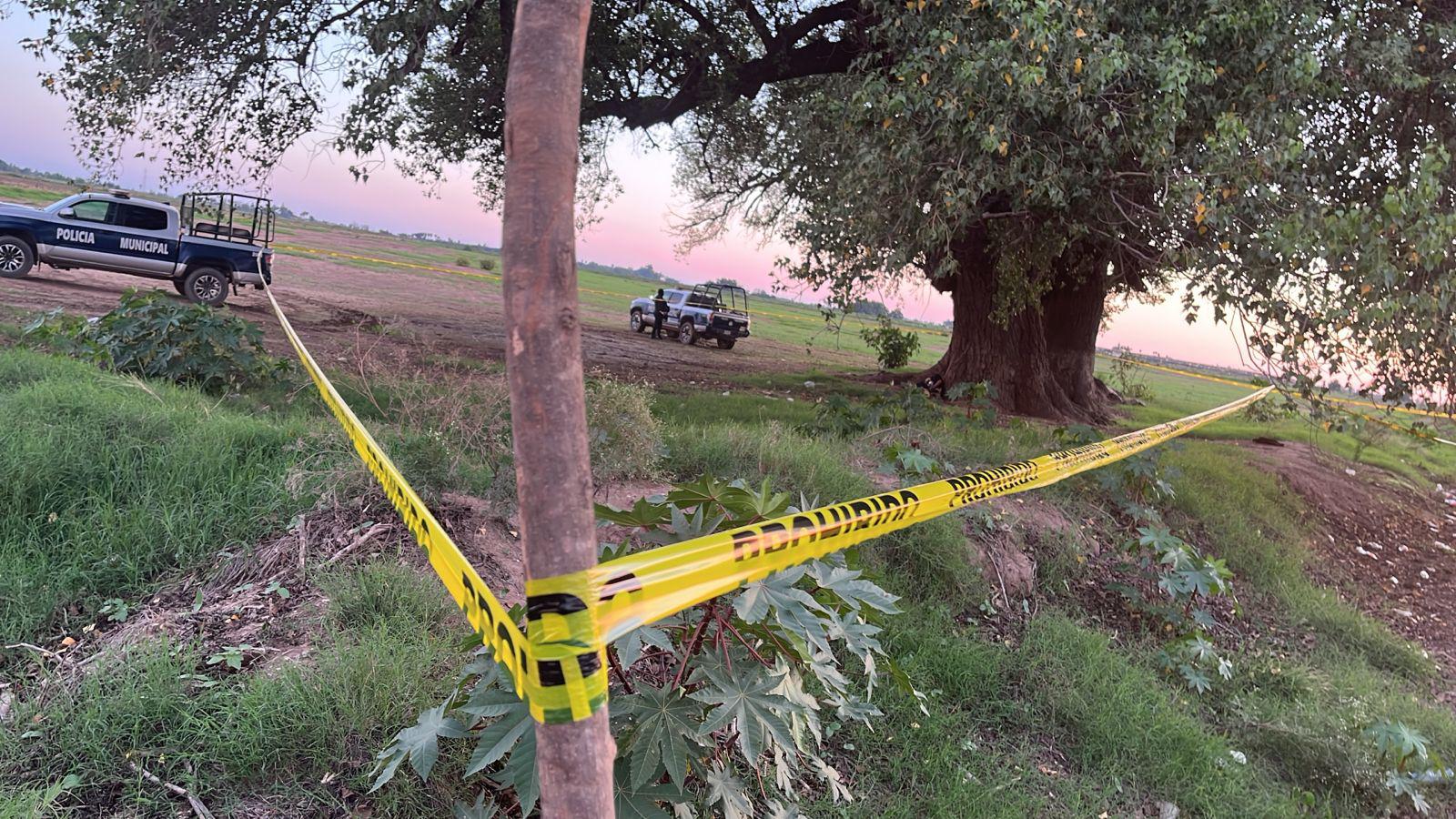 $!Hallan a hombre asesinado en un predio de cultivo en Alto Vergel, Navolato