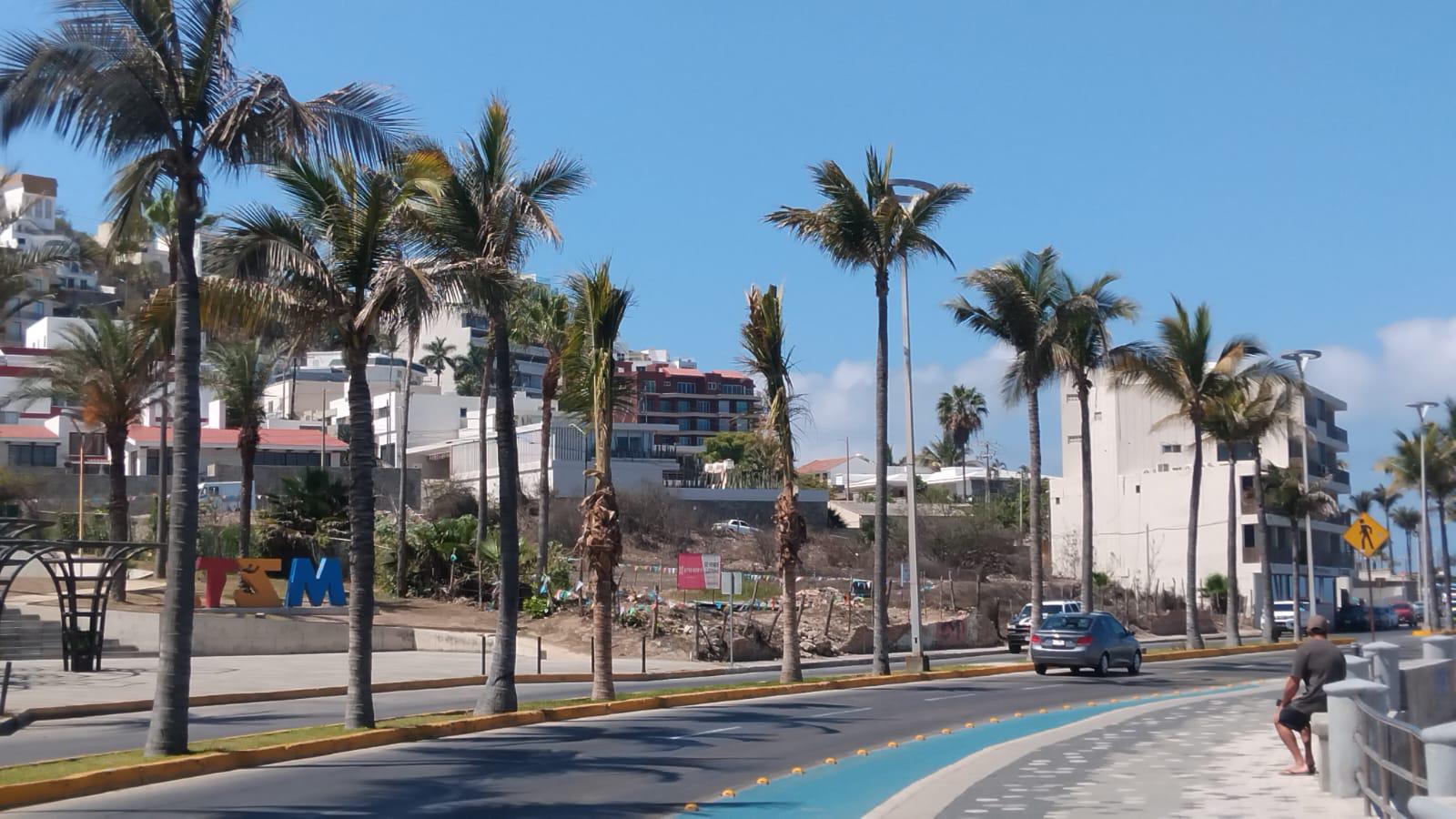 $!A casi un mes de accidentes mortales, Paseo Claussen sigue sin nueva señalética en la curva donde retiraron palmeras