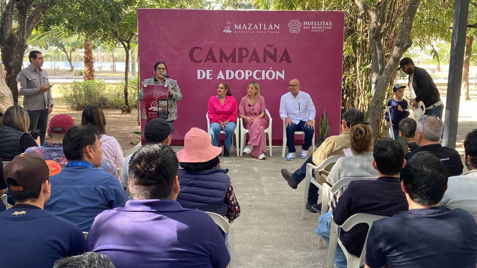 $!Perritos y un gatito encuentran un nuevo hogar en campaña de adopción en Mazatlán