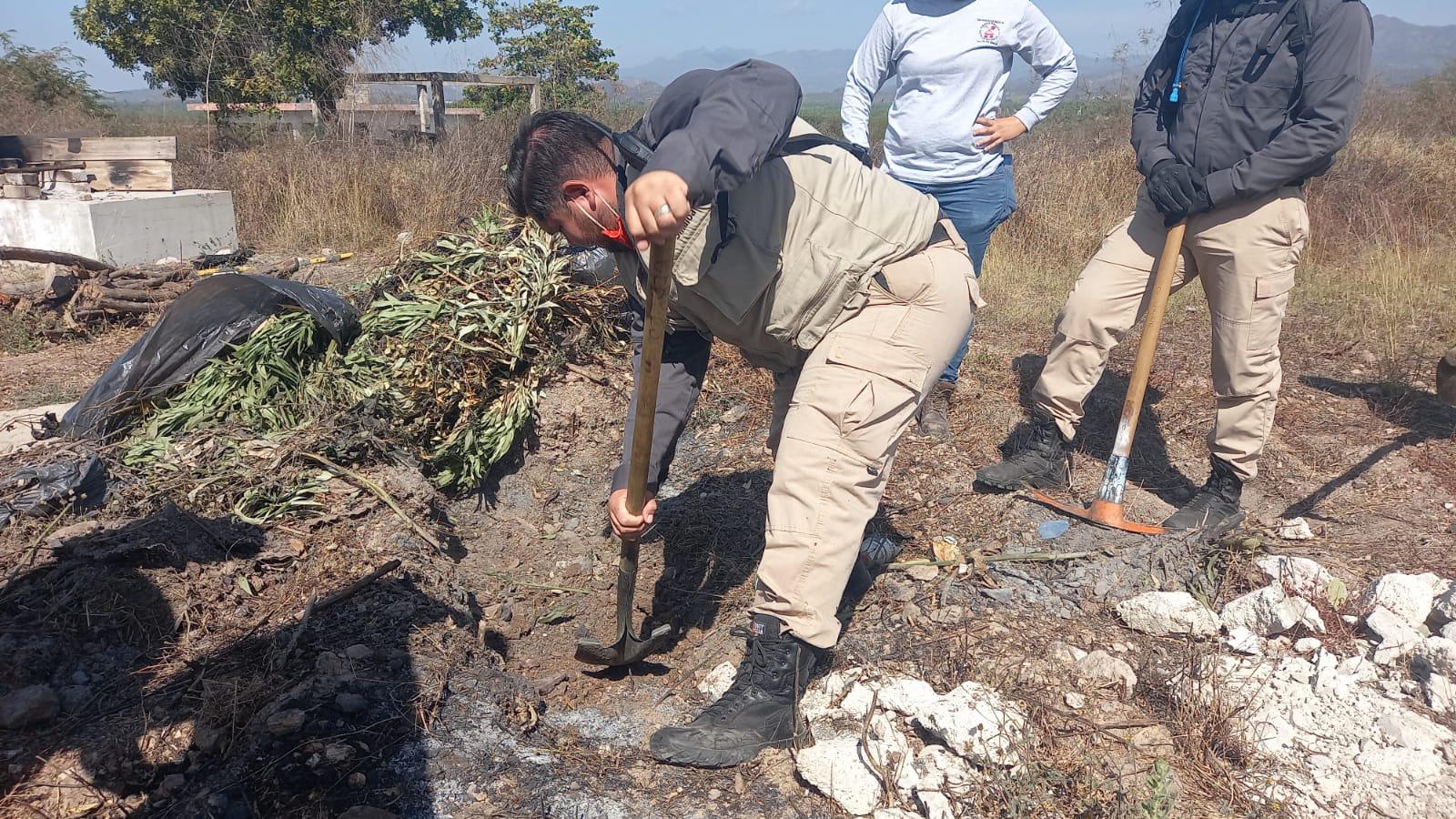 $!Rastreadoras buscan sin éxito a desaparecidos, en Escuinapa; persistirán en el municipio dos días más