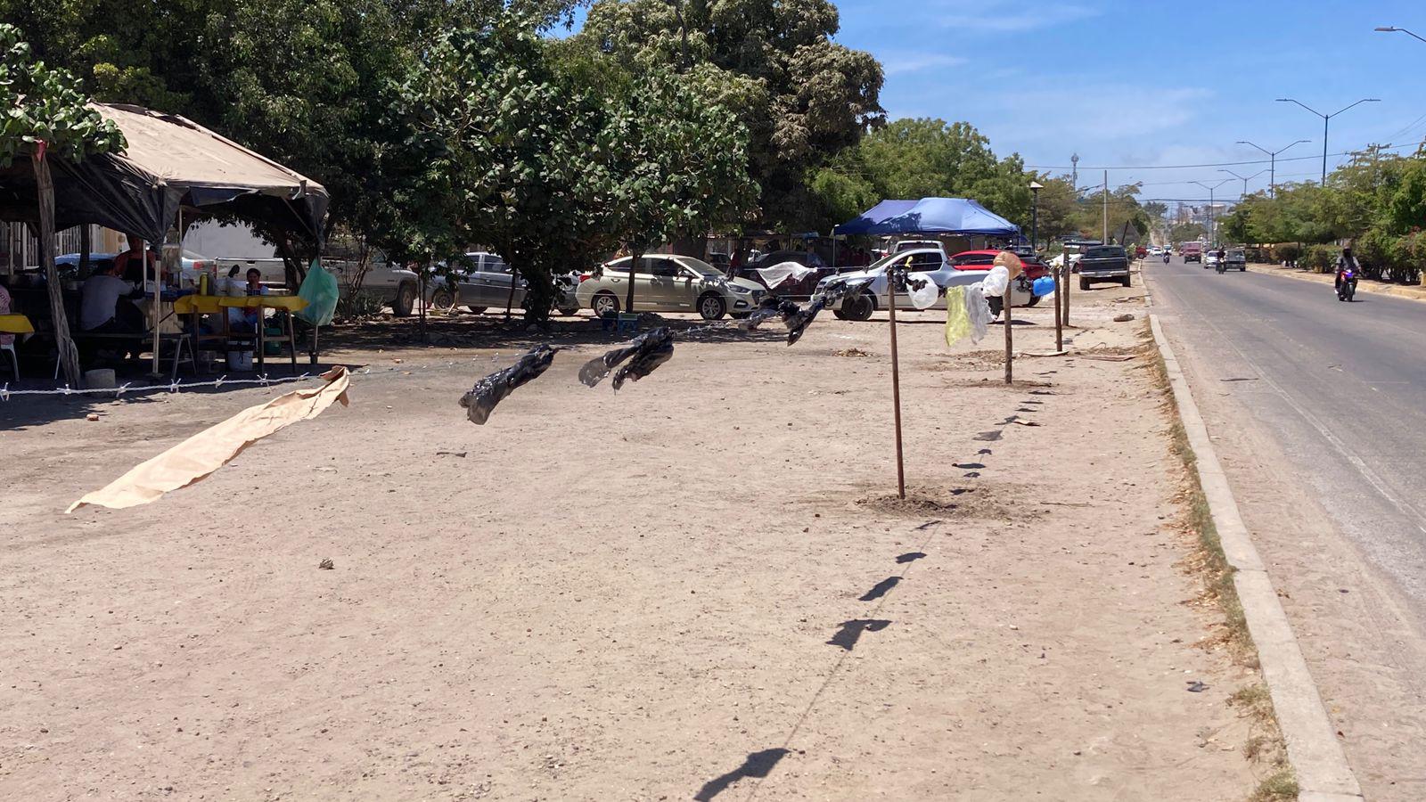 $!Cercan vecinos de Fraccionamiento La Foresta terreno para conservarlo como área verde y evitar construcciones