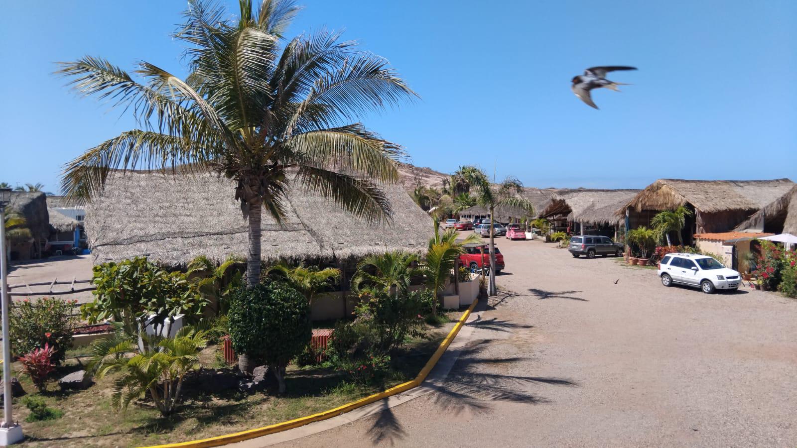 $!Carreteras inseguras y caras reducen arribo a tráiler parks a Mazatlán