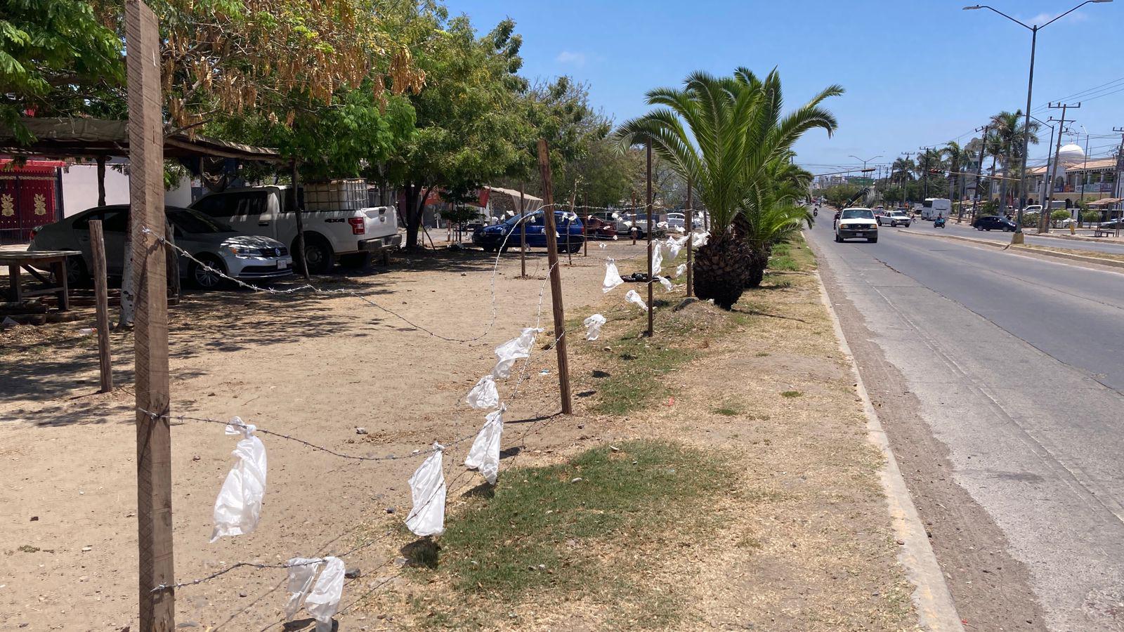 $!Vecinos de La Foresta tendrán nueva reunión con Desarrollo Urbano este lunes por conservación de áreas verdes