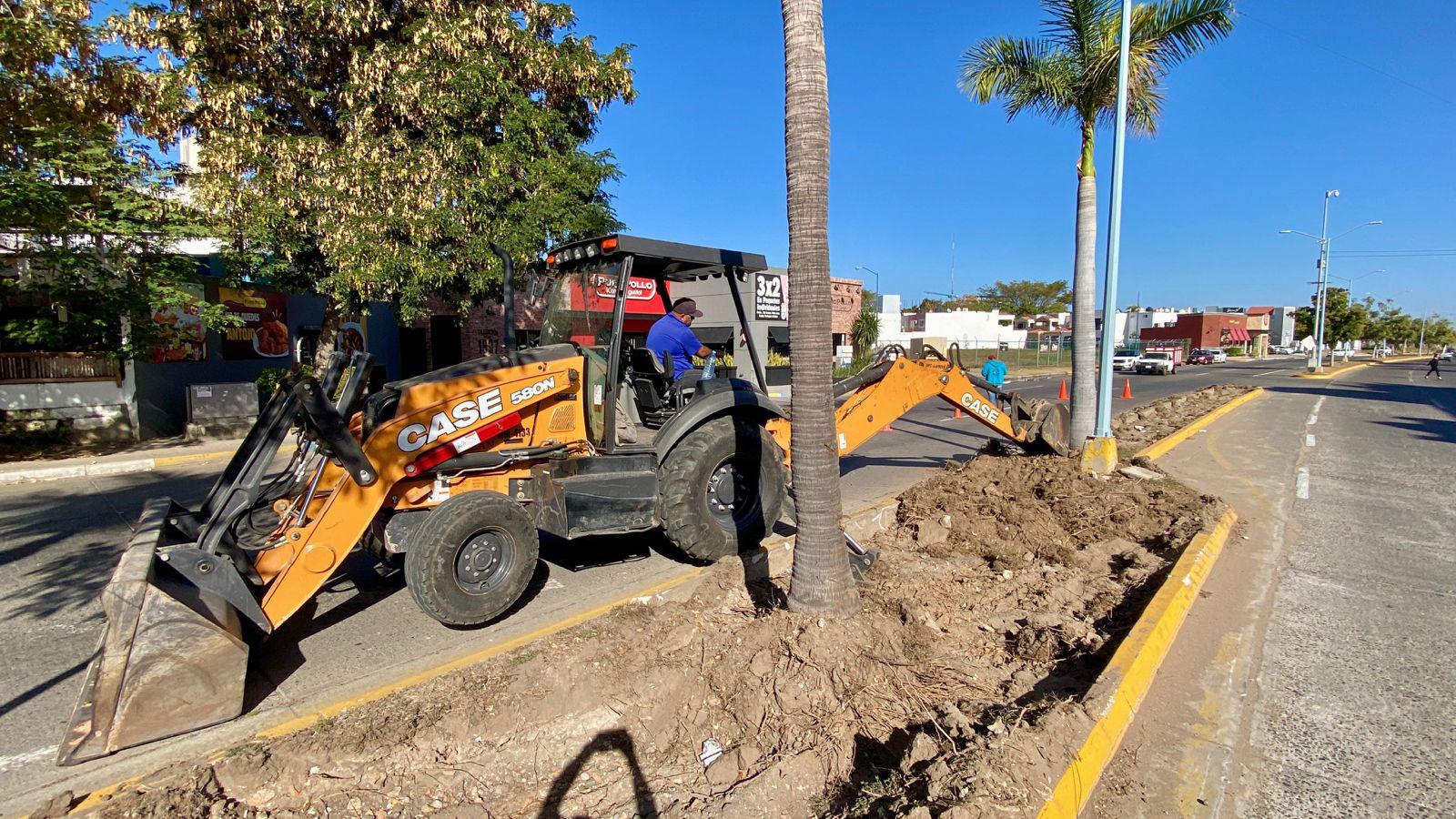$!Dan ‘manita de gato’ al camellón de la Avenida La Marina