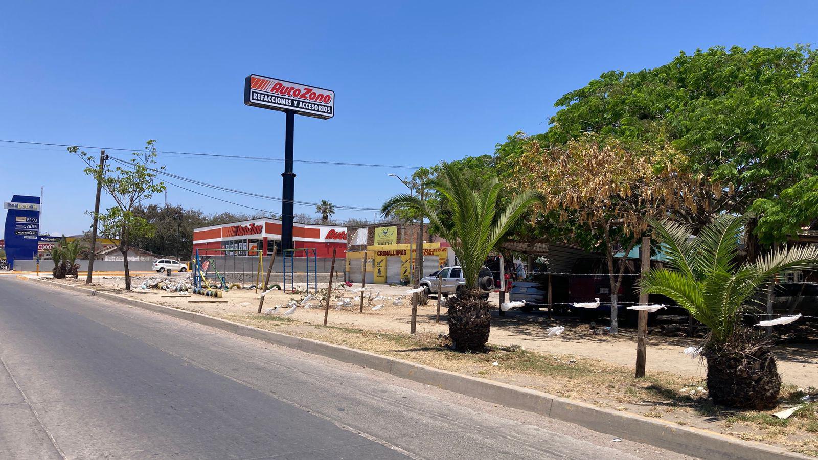 $!Vecinos de La Foresta tendrán nueva reunión con Desarrollo Urbano este lunes por conservación de áreas verdes
