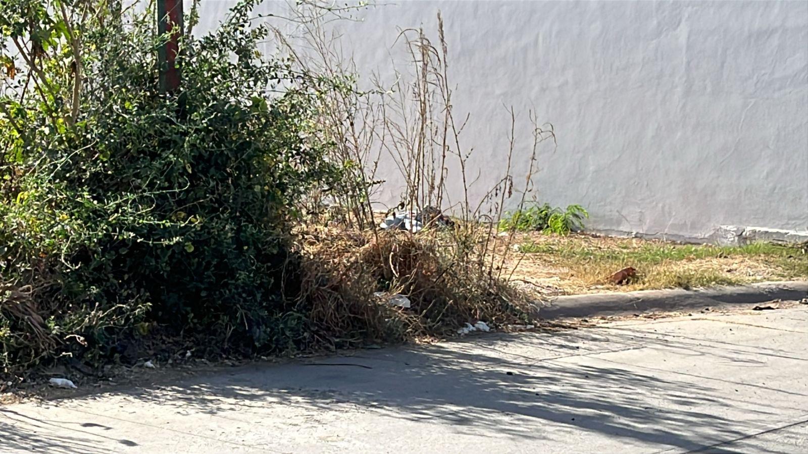 $!Asesinan un hombre en el fraccionamiento Isla Musalá, en Culiacán