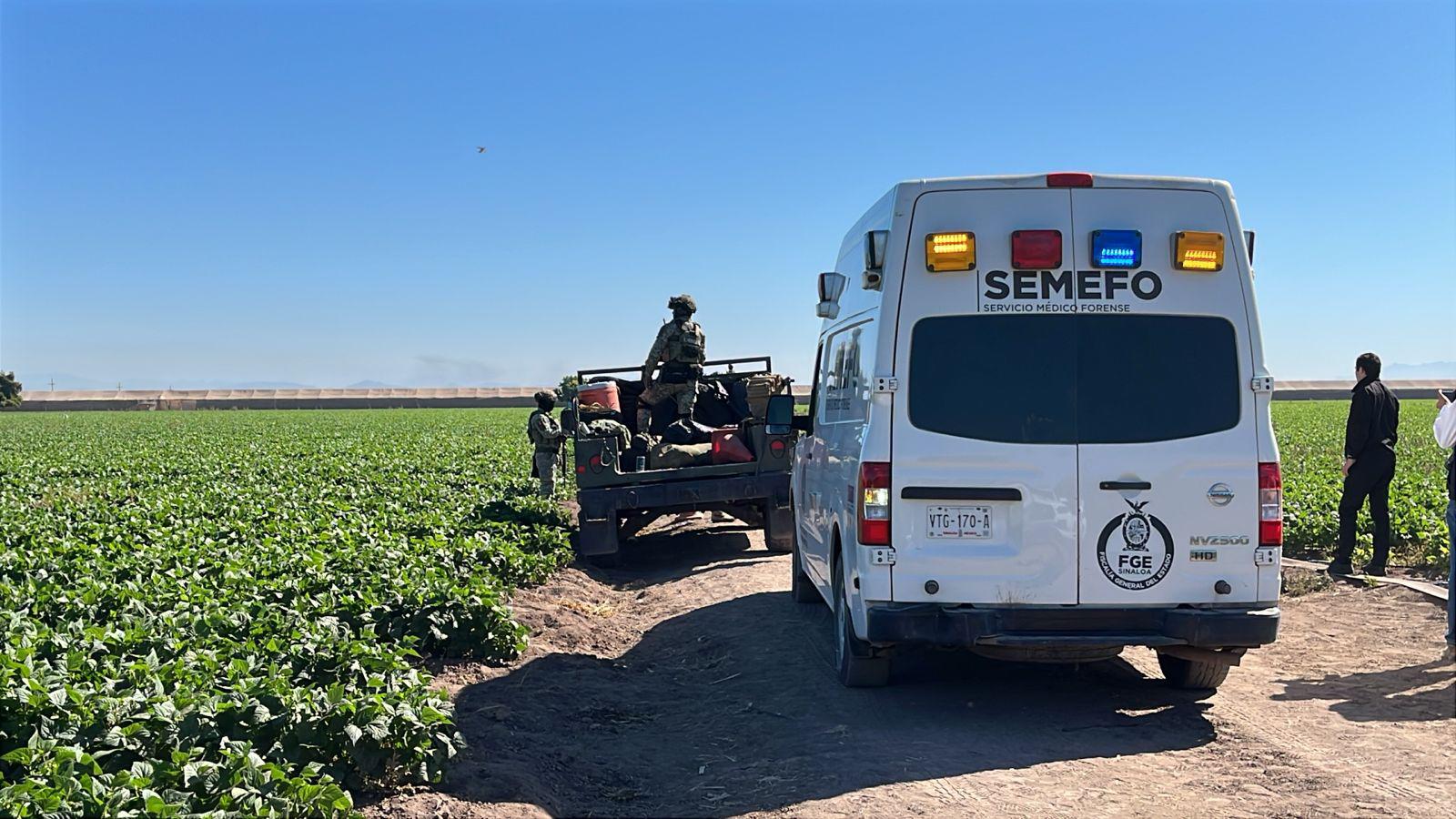 $!Asesinan a jornalero en un campo de frijol, entre los límites de Culiacán y Navolato