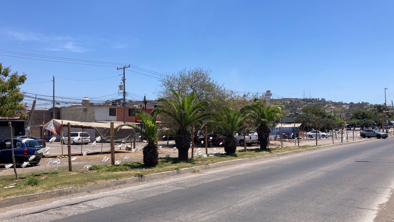$!Vecinos de La Foresta tendrán nueva reunión con Desarrollo Urbano este lunes por conservación de áreas verdes