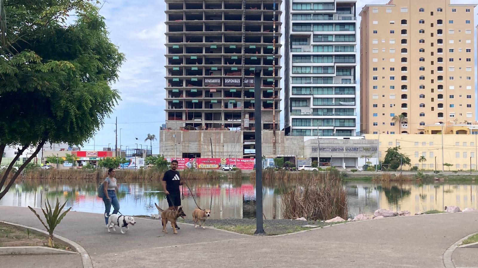 $!En conmemoración del ‘Día del Perro’, celebran campaña de adopción, esterilización y Café Científico en Mazatlán