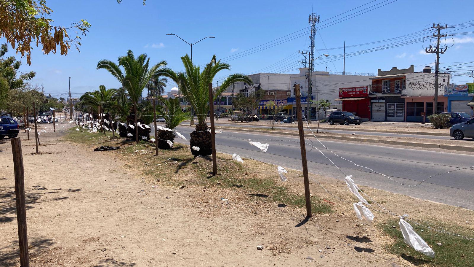 $!Vecinos de La Foresta tendrán nueva reunión con Desarrollo Urbano este lunes por conservación de áreas verdes