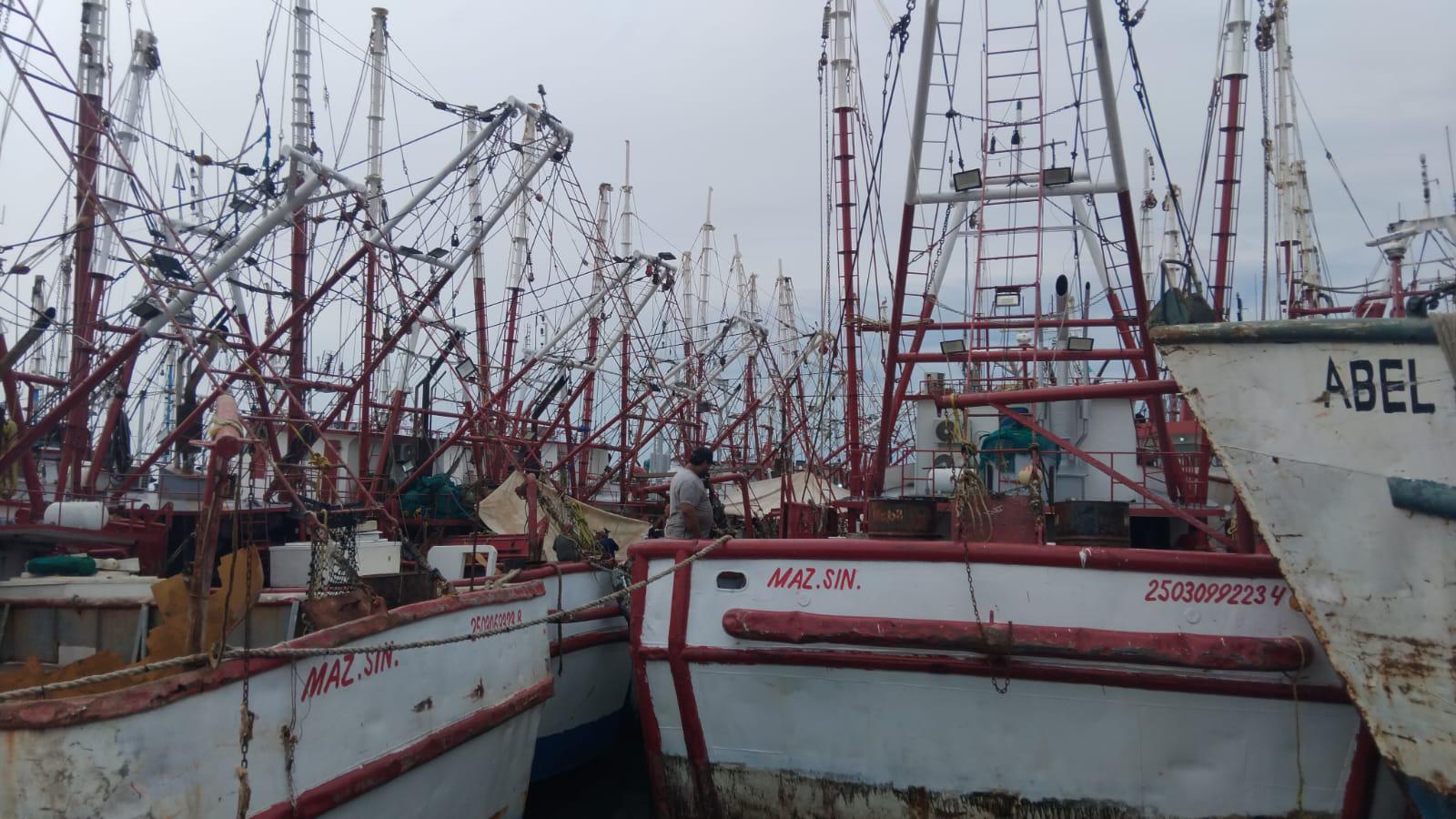 $!Pescadores denuncian saqueo de camarón de altamar por ribereños y aún no definen inicio de la zafra