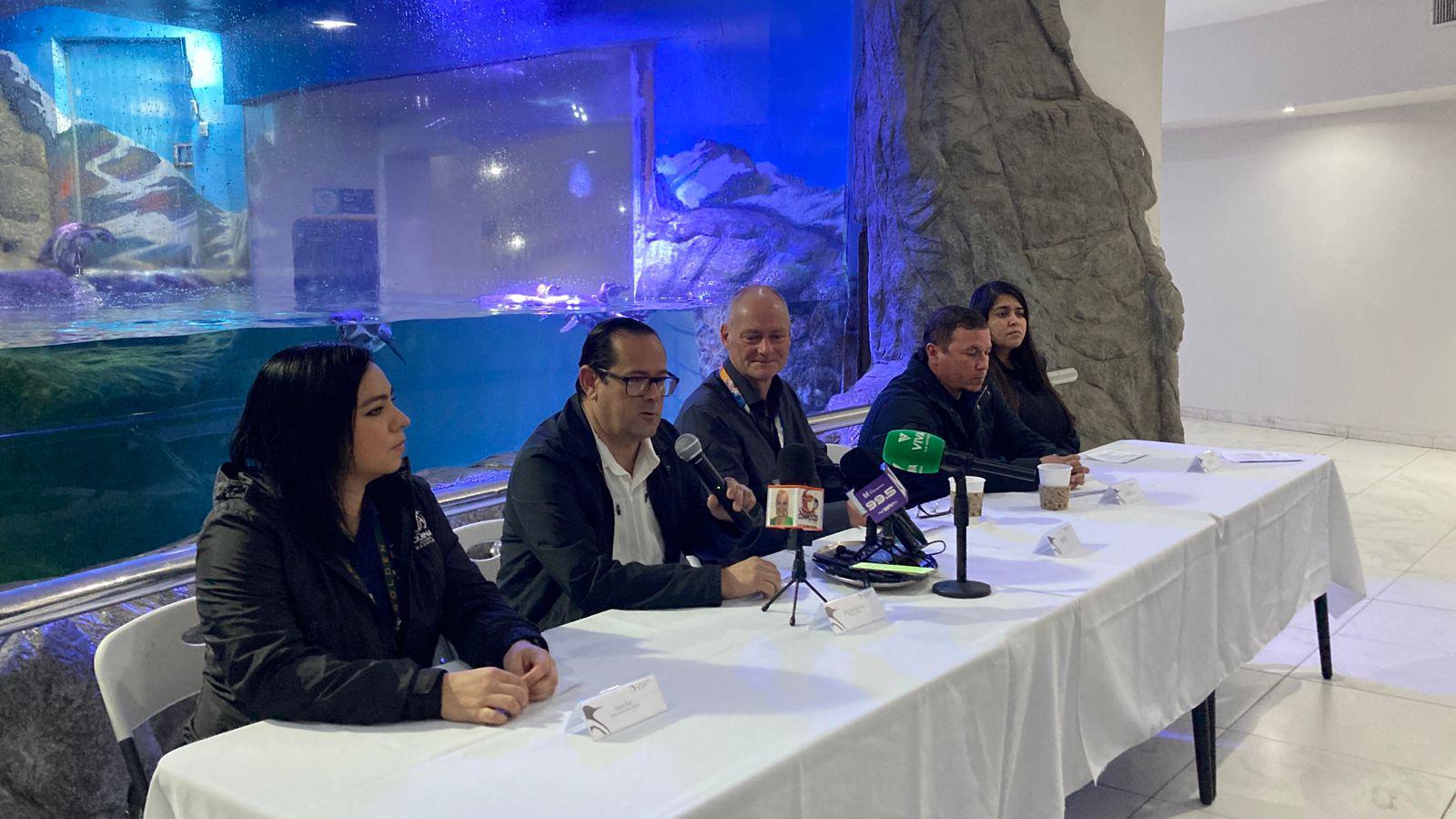 $!Nace el primer pingüino en el Gran Acuario Mar de Cortés