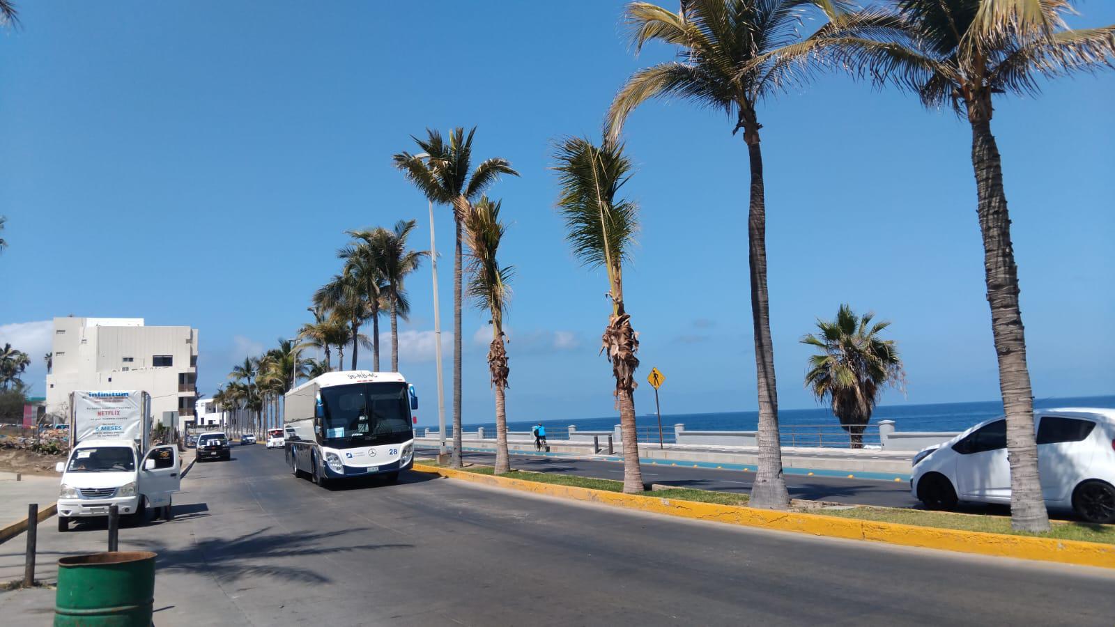 $!A casi un mes de accidentes mortales, Paseo Claussen sigue sin nueva señalética en la curva donde retiraron palmeras