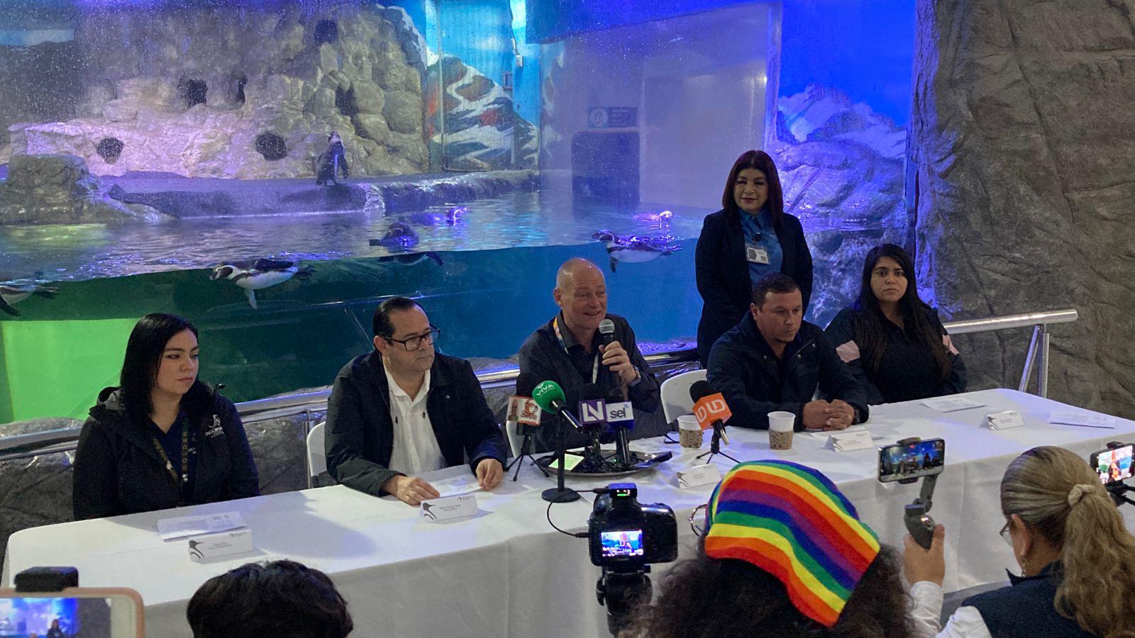 $!Nace el primer pingüino en el Gran Acuario Mar de Cortés