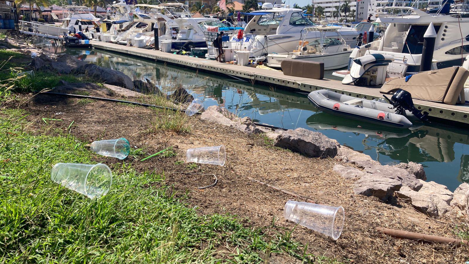 $!Marea plástica atenta contra el ecosistema marino: ambientalista