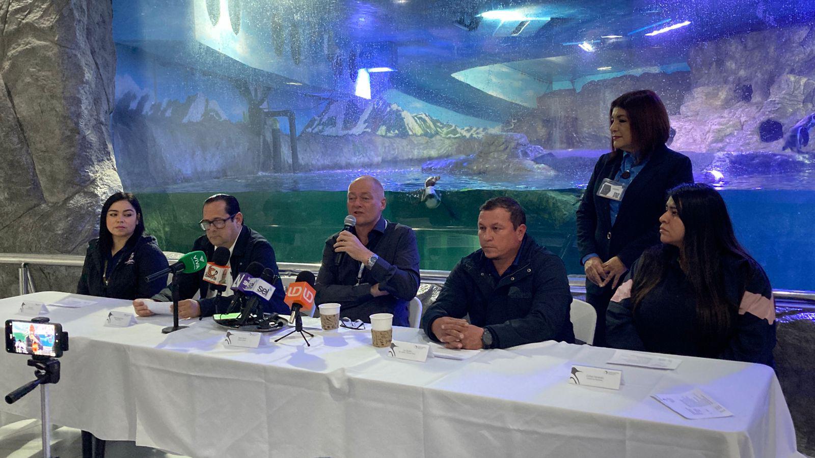 $!Nace el primer pingüino en el Gran Acuario Mar de Cortés