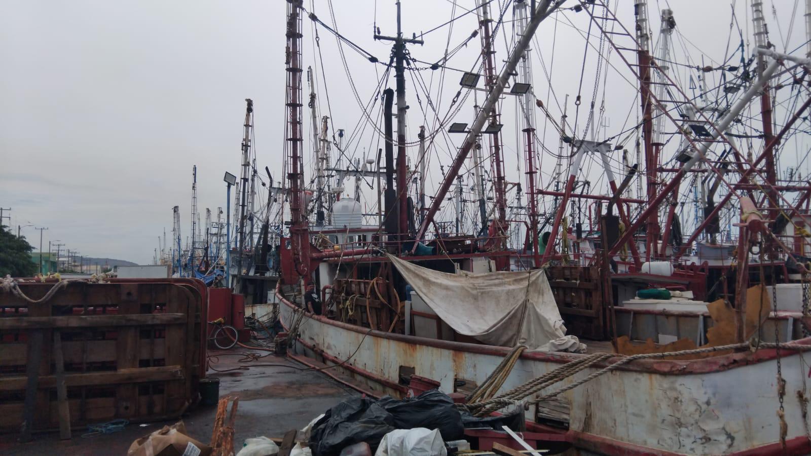 $!Pescadores denuncian saqueo de camarón de altamar por ribereños y aún no definen inicio de la zafra