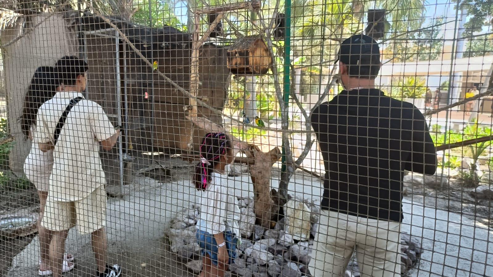 $!Ofrece Gran Acuario Mazatlán nuevas experiencias a visitantes